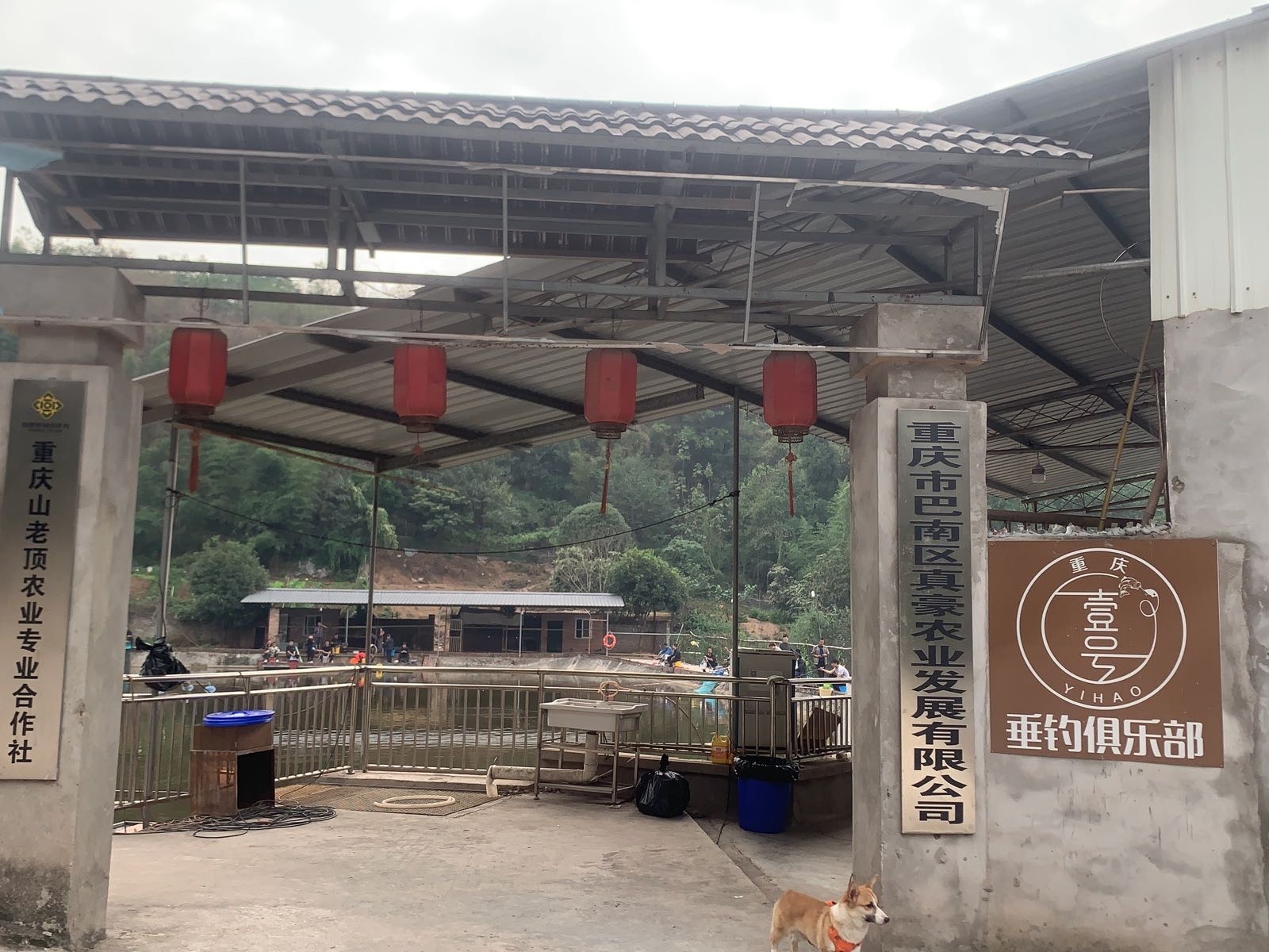 双桥河水鱼钓场(壹号垂钓俱乐部)
