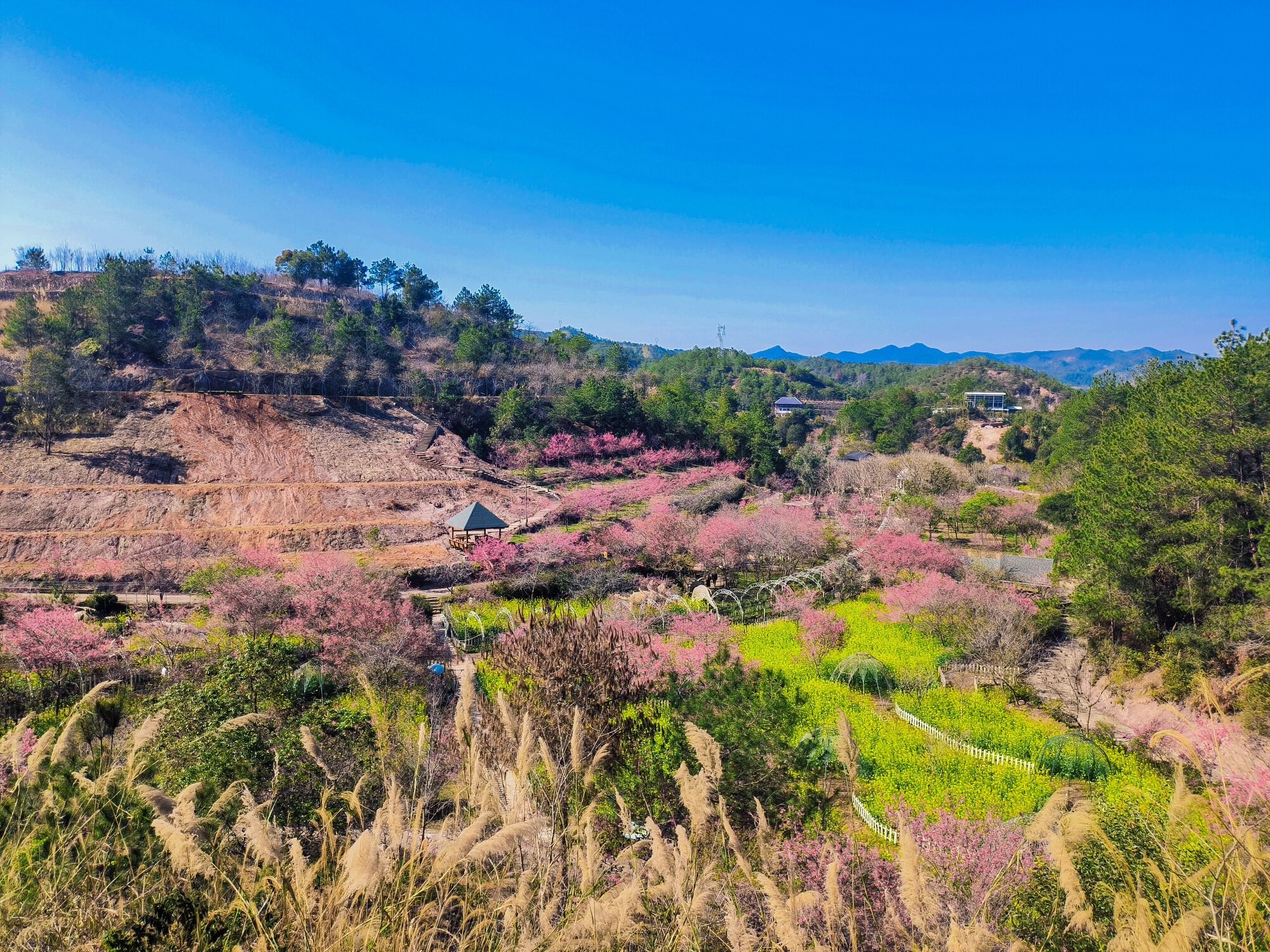 梅县区华侨城广场