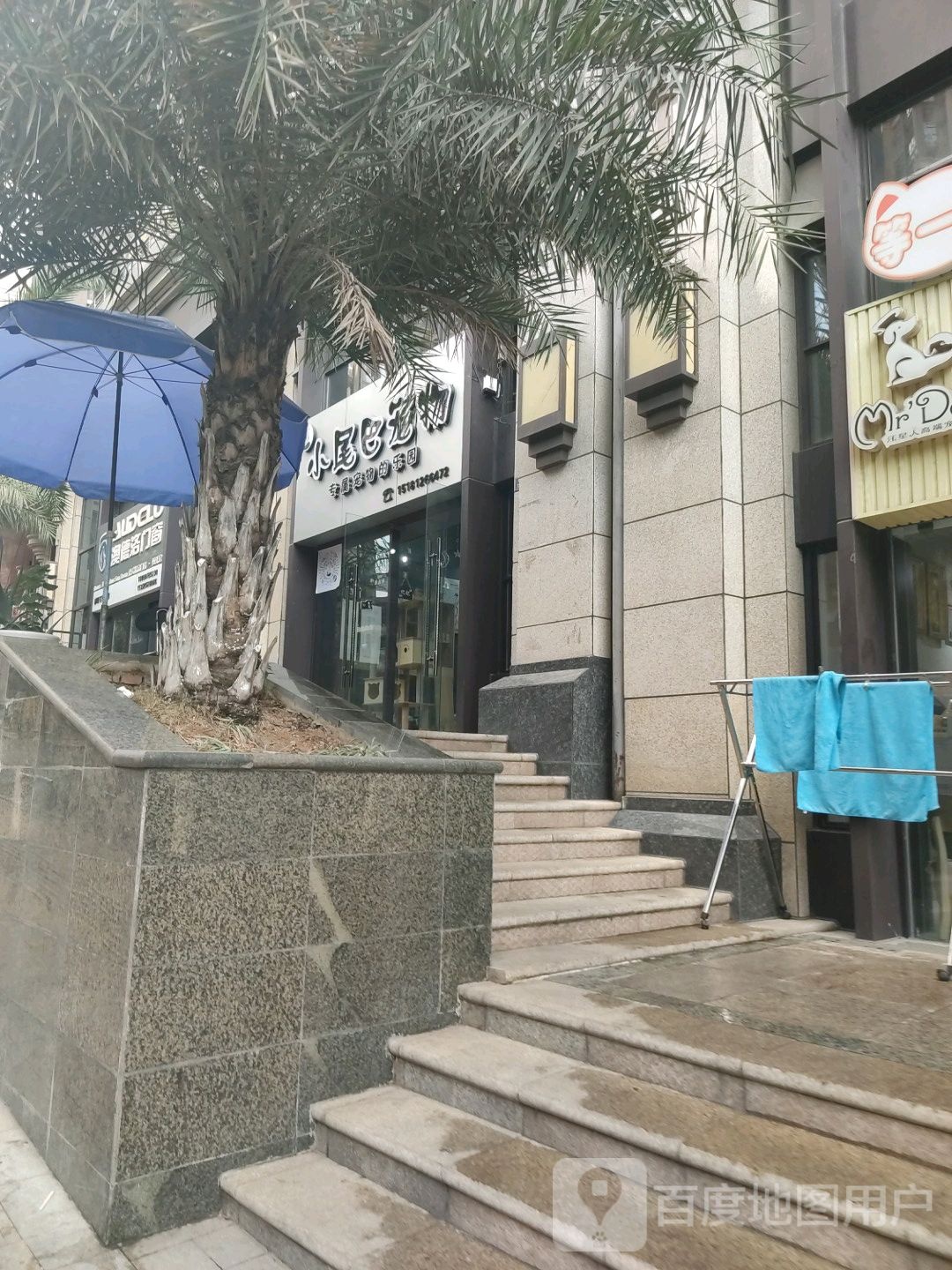 小尾巴宠物