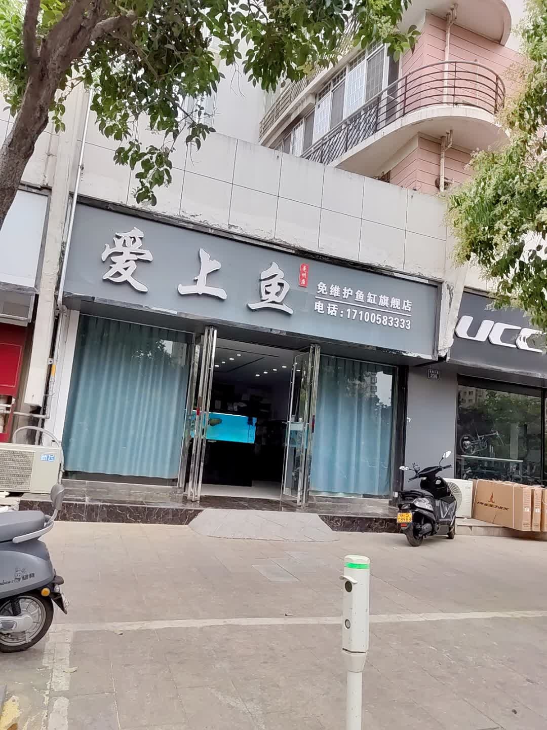 爱上鱼(希夷大道店)