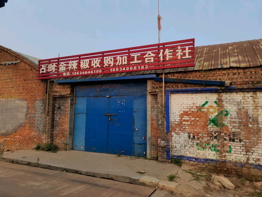 未强占时金辣椒收购加工合作社