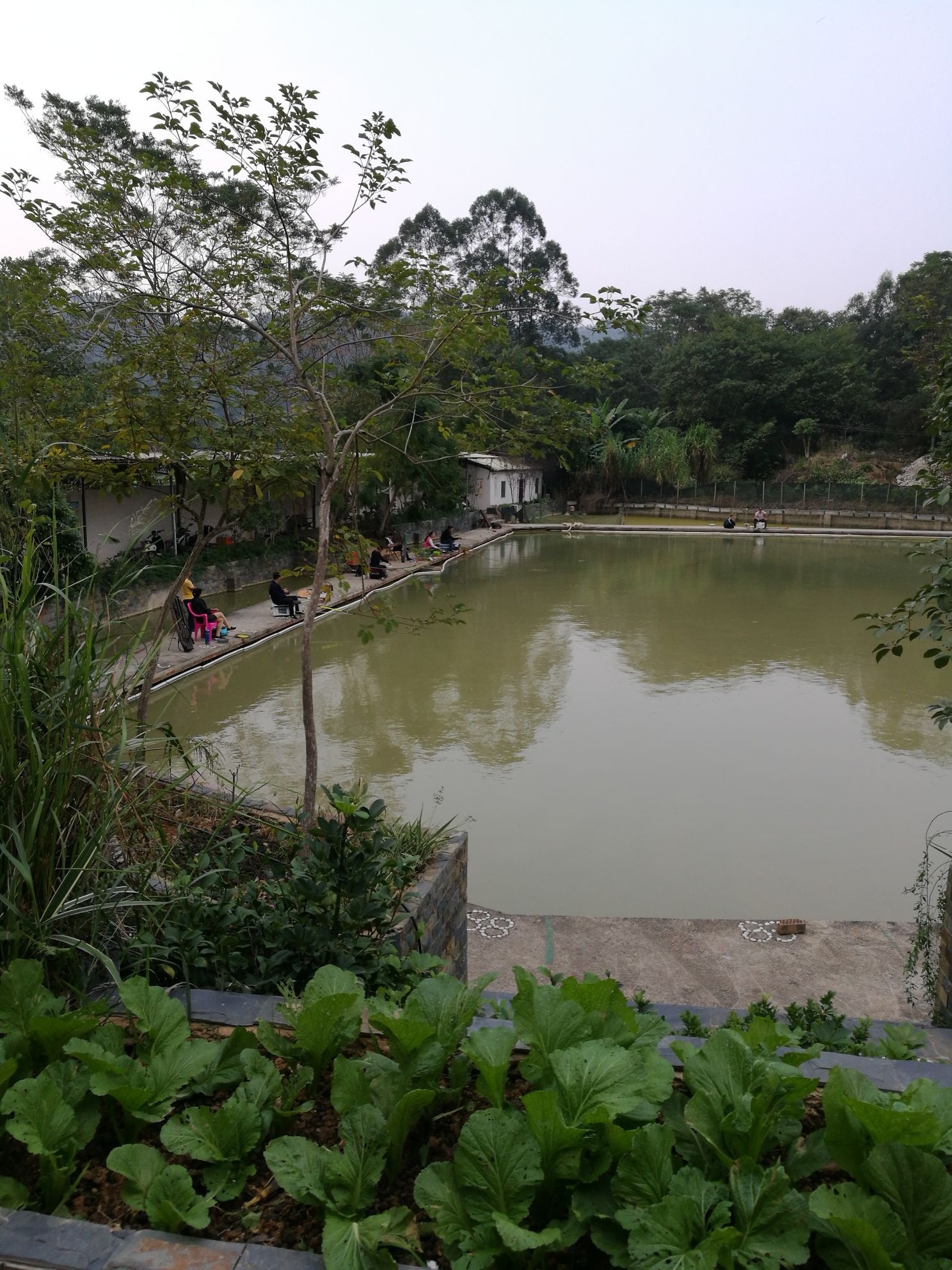渔乐湾钓鱼山庄