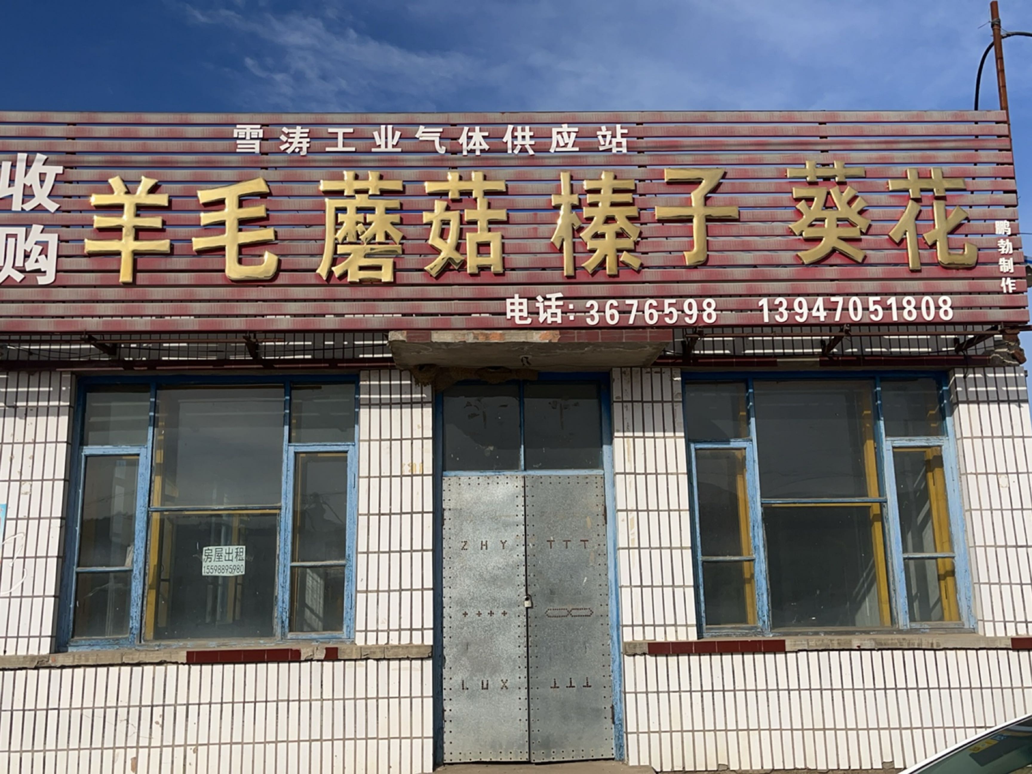 收购羊毛蘑菇