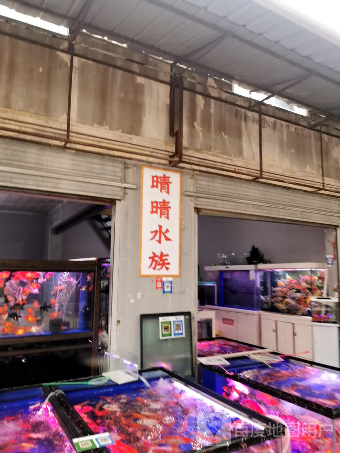 水族园