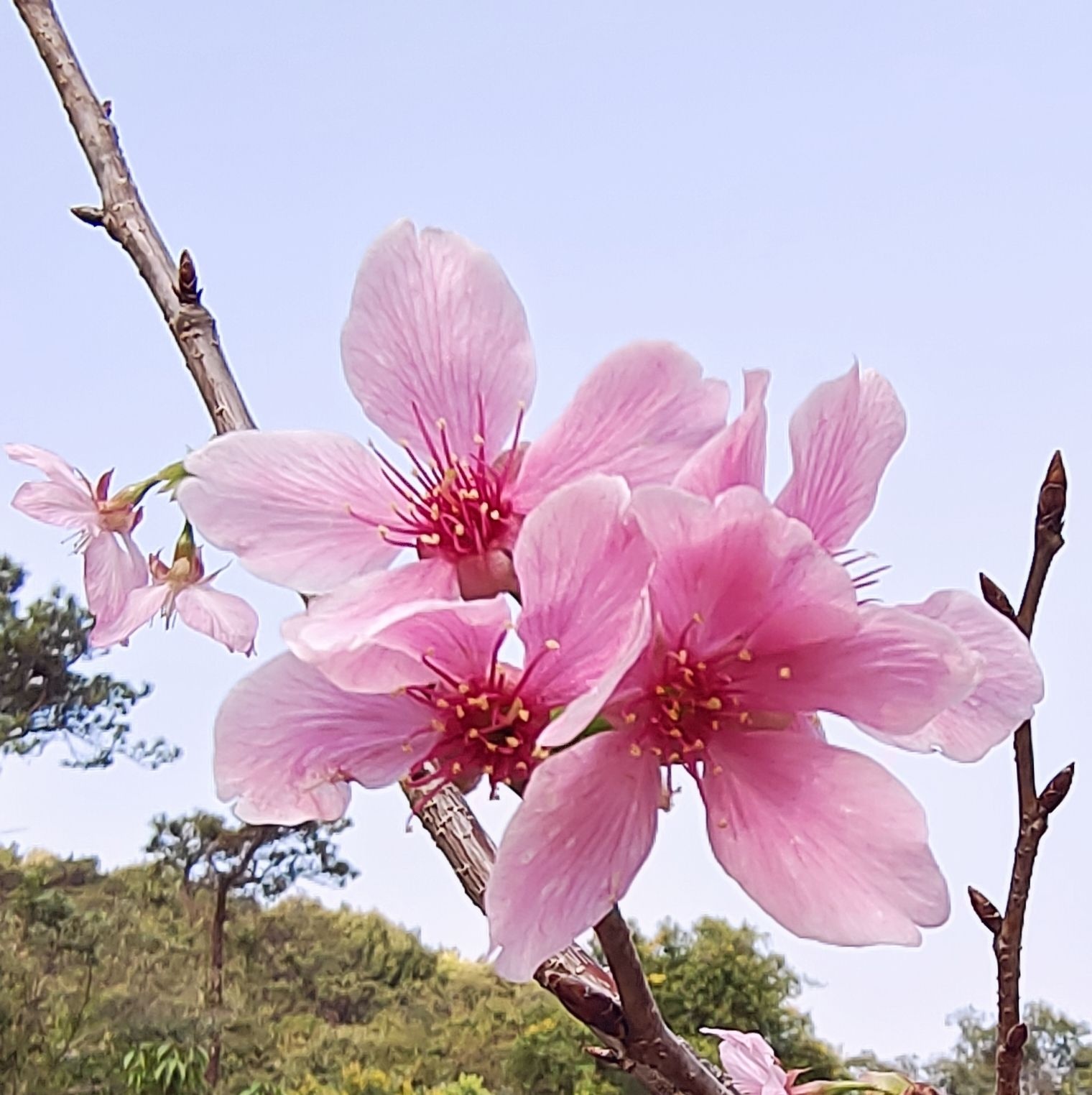 北岭山森林公园