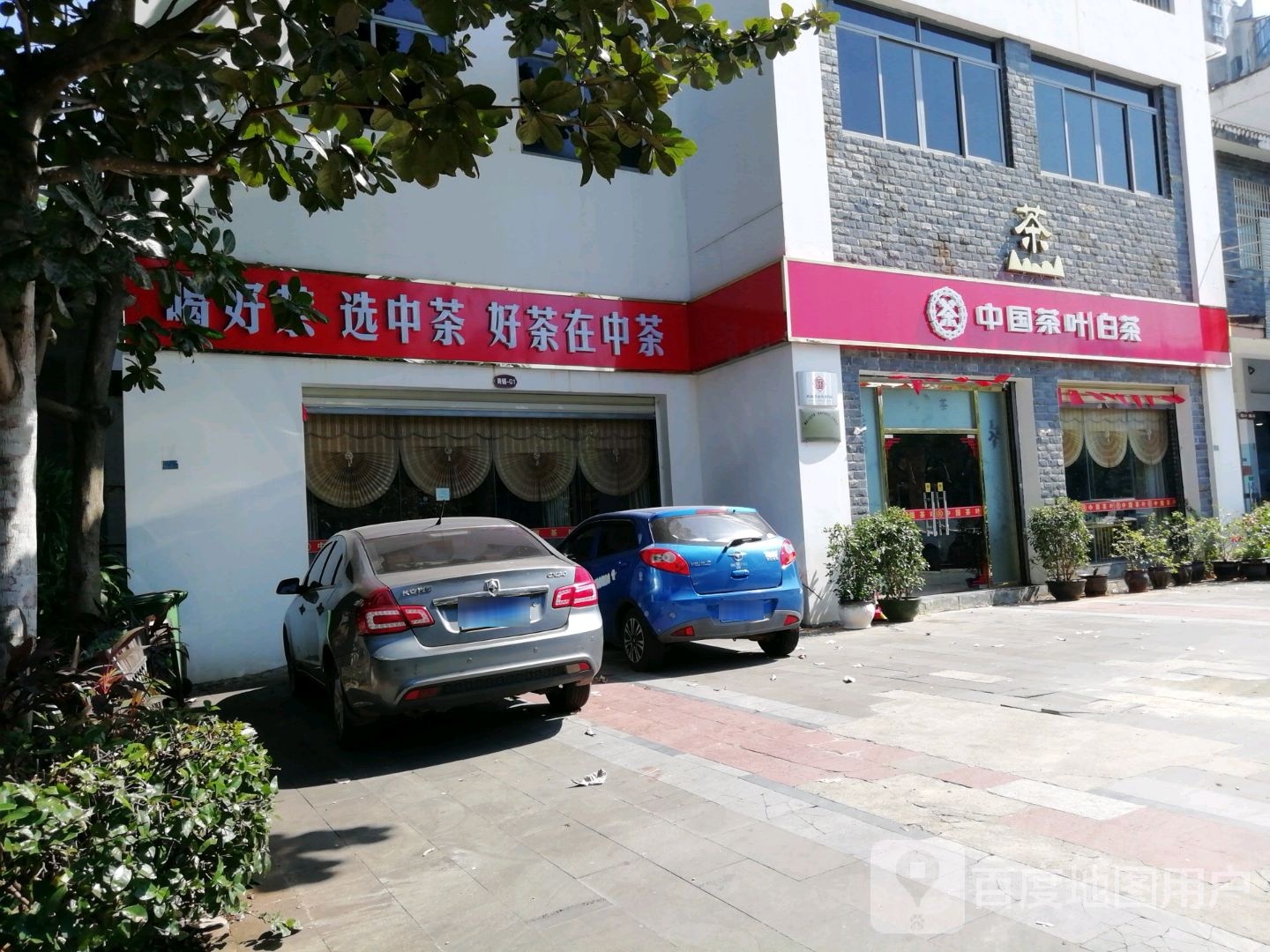 中国茶叶白茶(江南专营店)