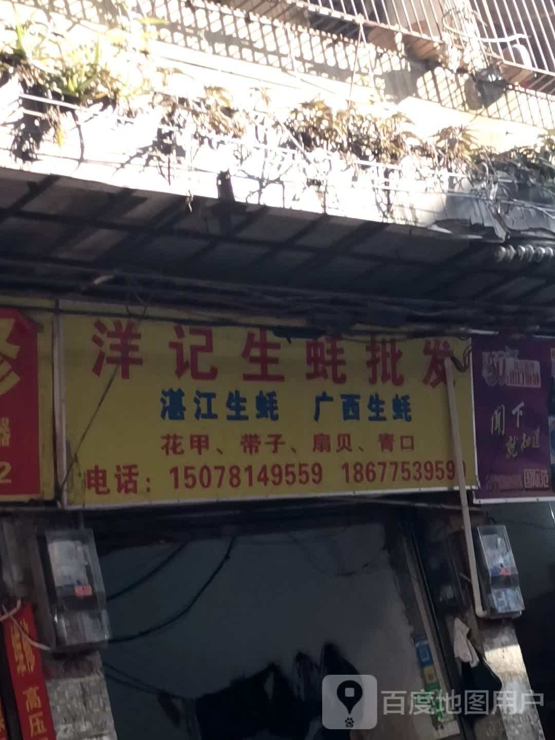 洋记生蚝批发(海鲜)