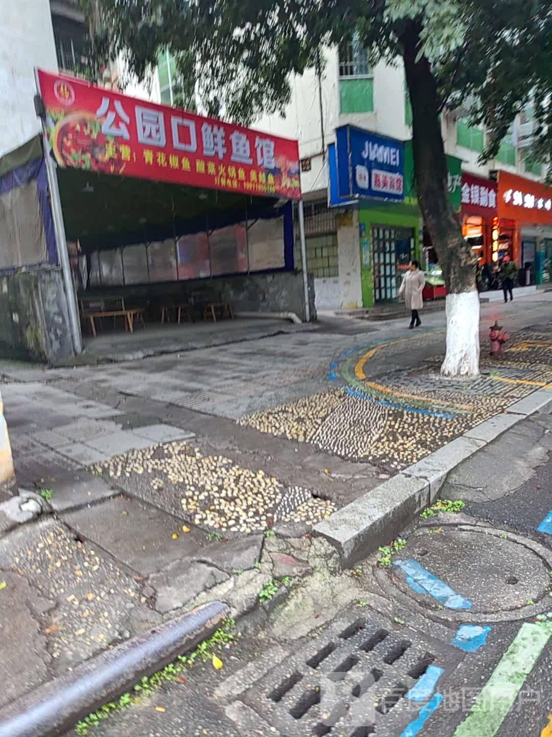 公园口鲜鱼馆