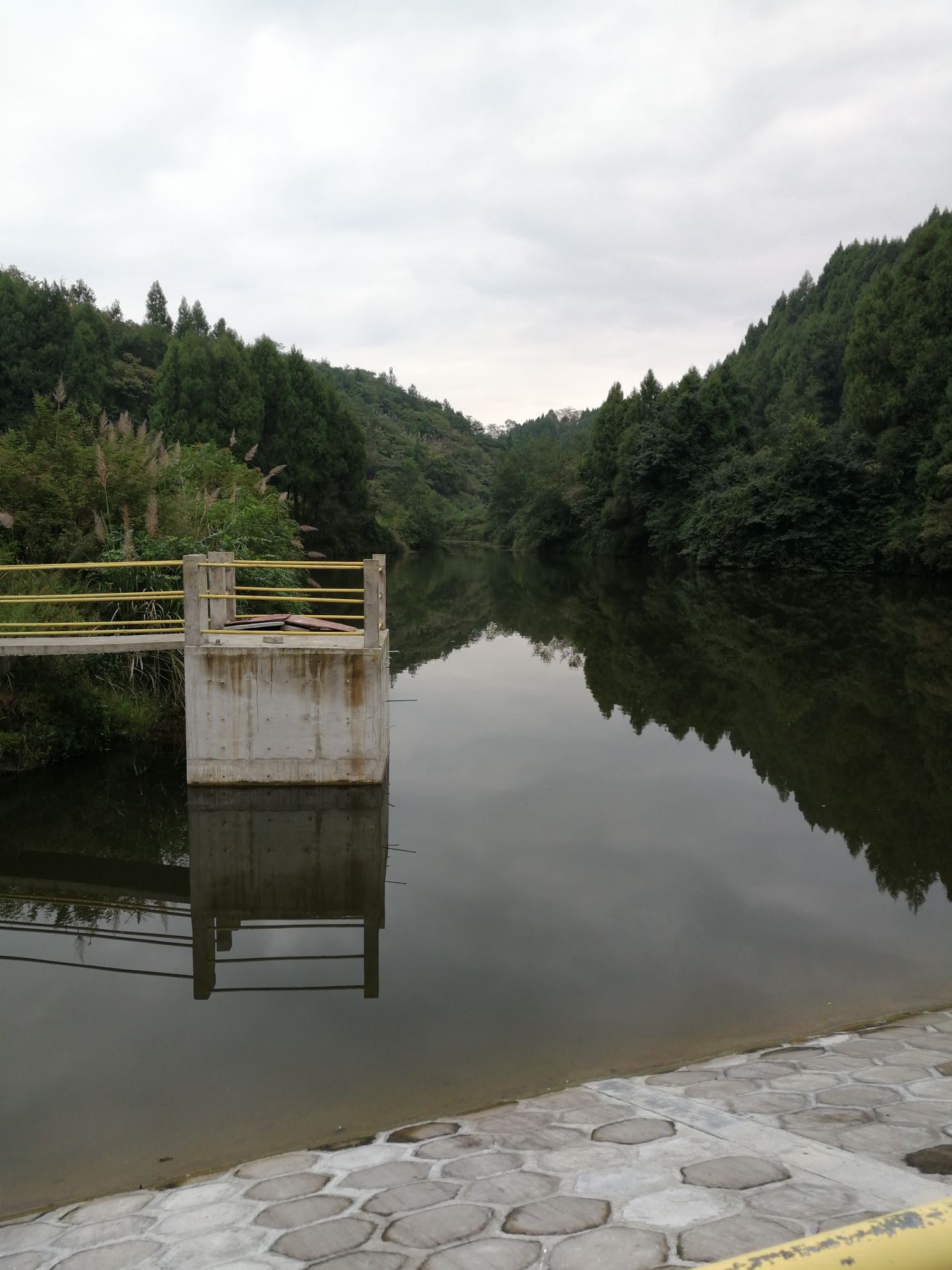 四川省南充市南部县盘龙镇新跃水库