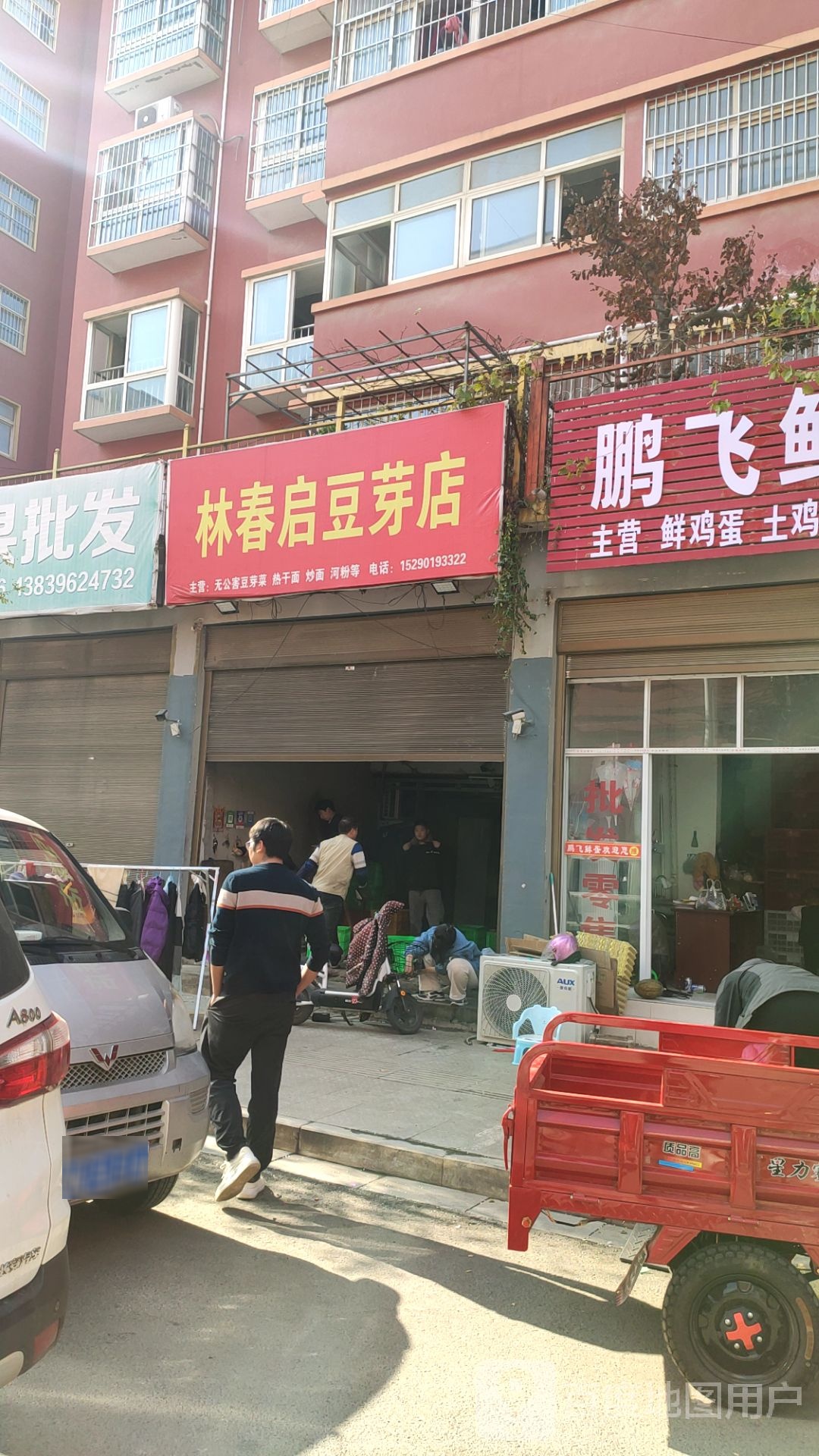 泌阳县林春启豆芽店