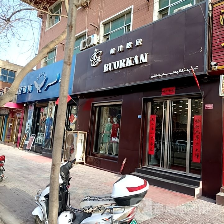 艾丽狮