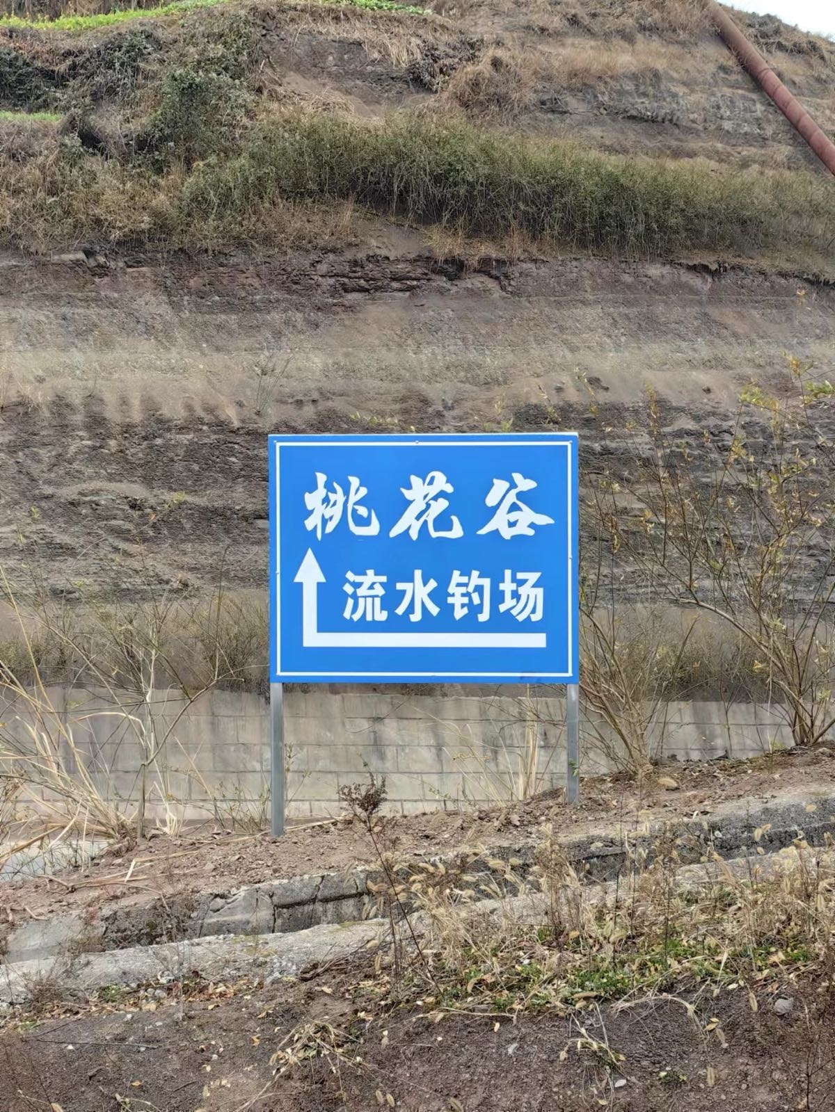 桃花谷流水钓场