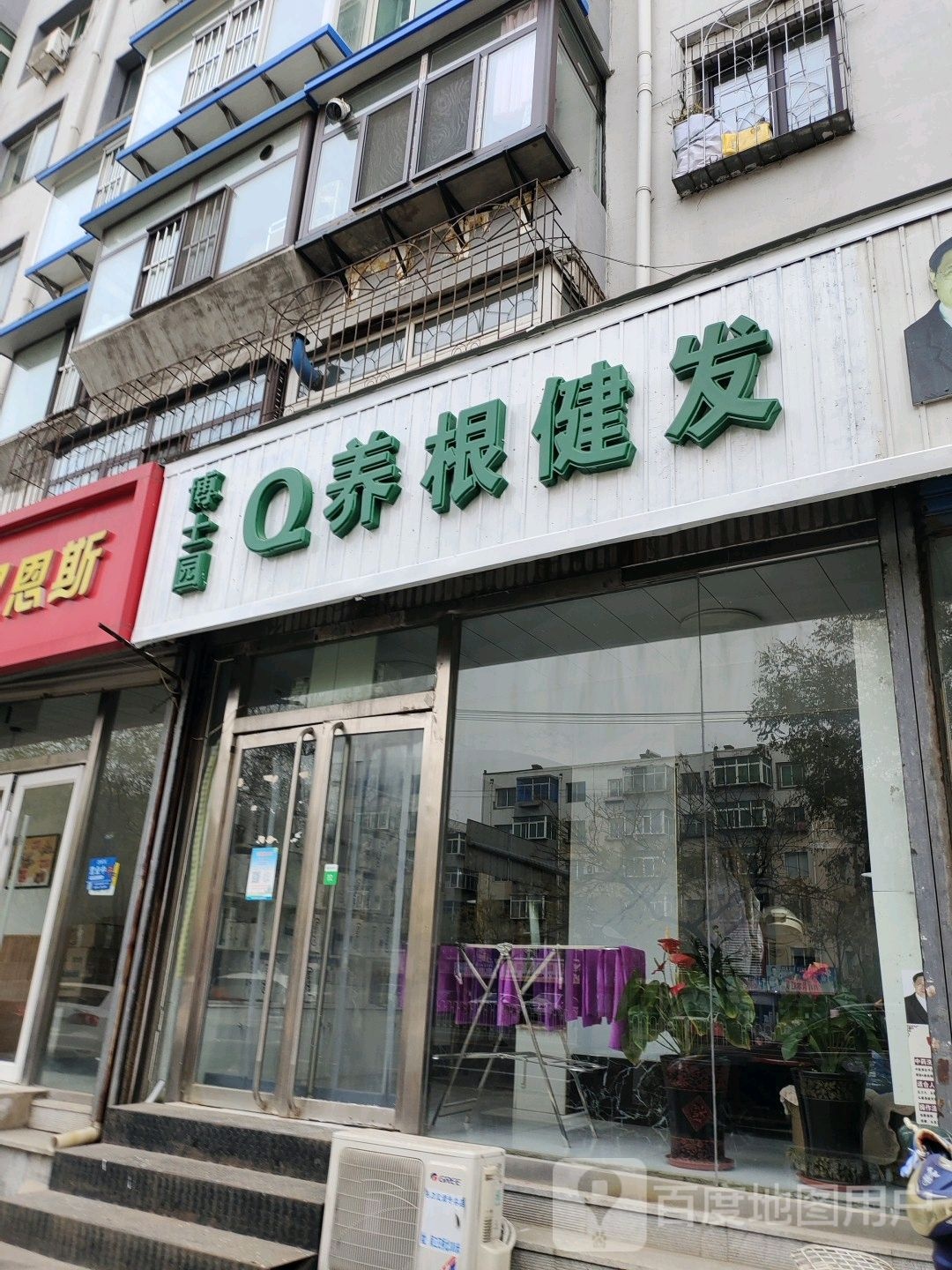 博士园Q养根健发