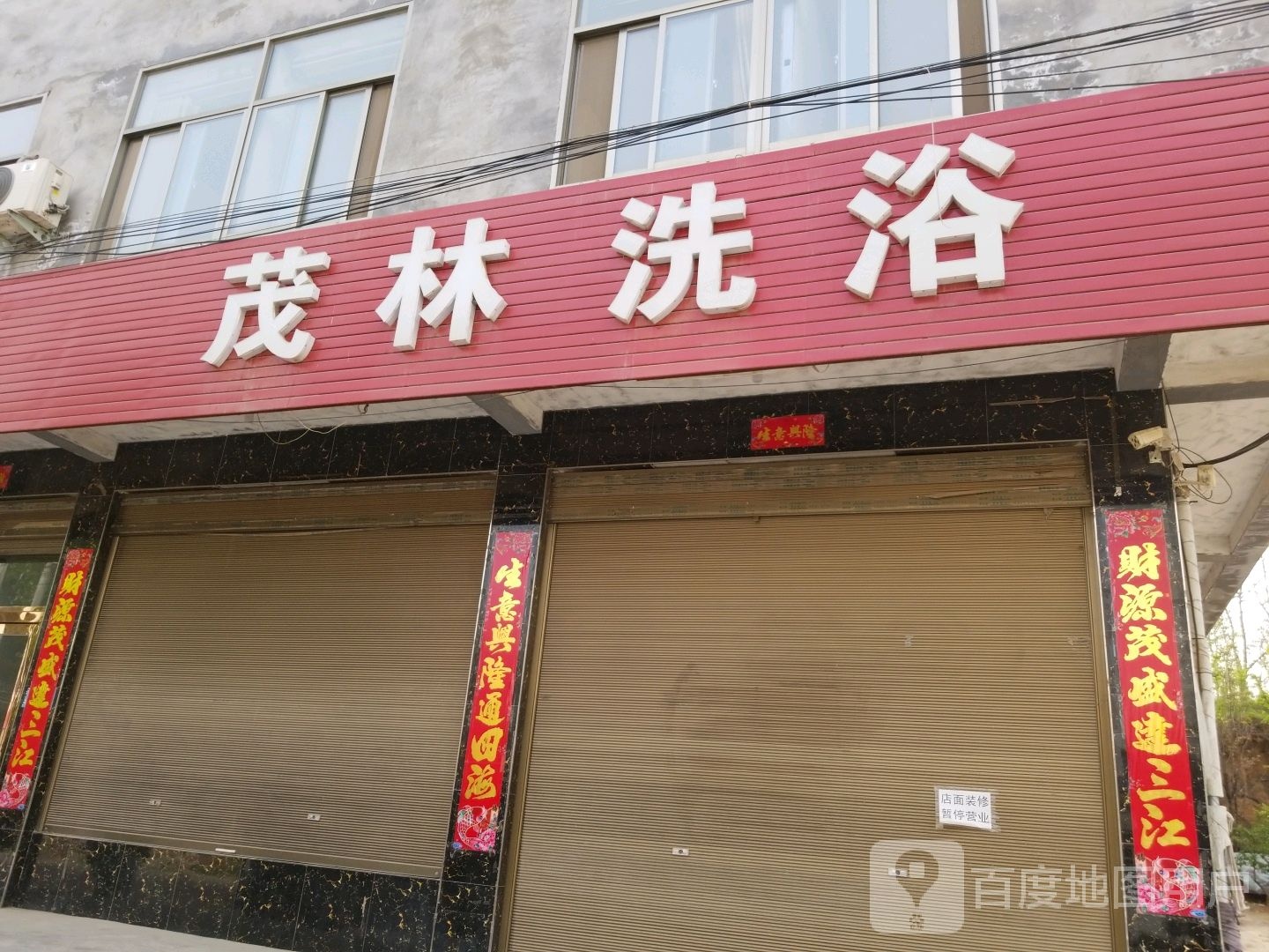 茂树林浴