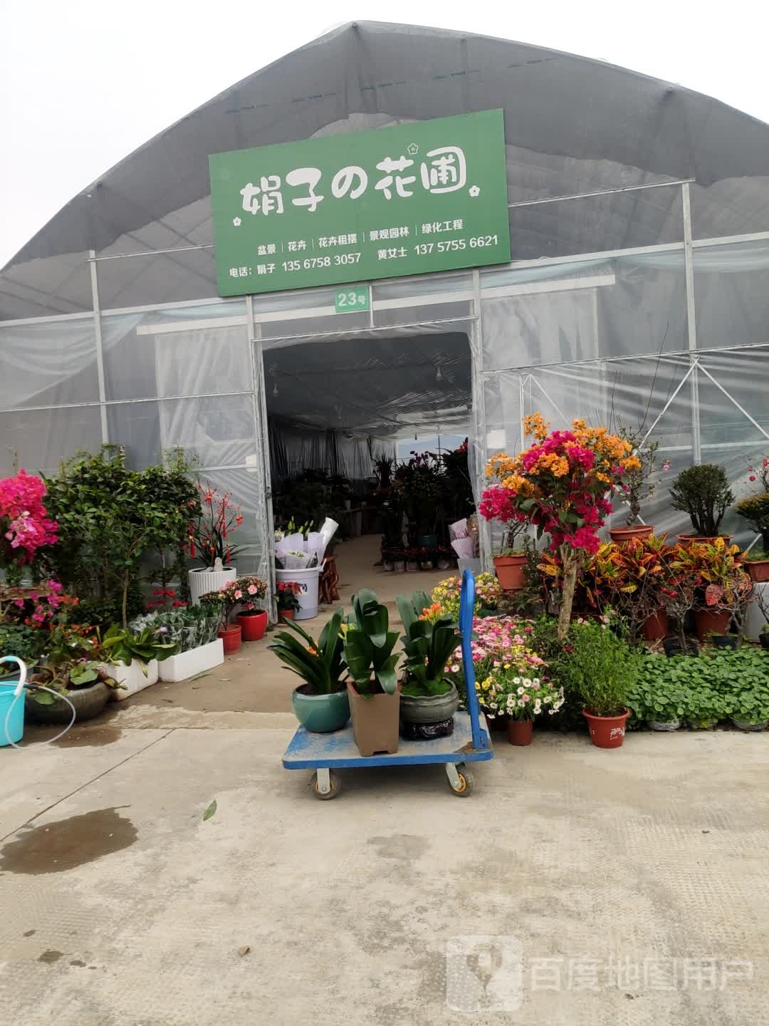 诸暨市娟子之花圃