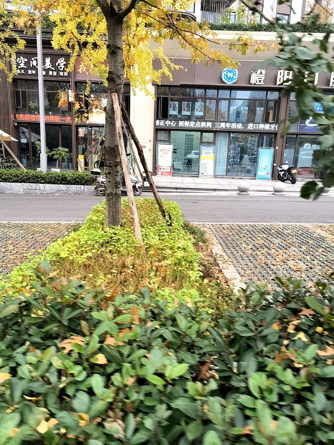女神·空间美学
