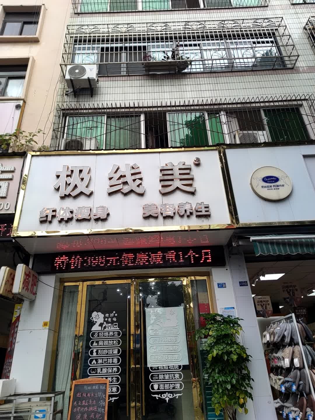 极线美
