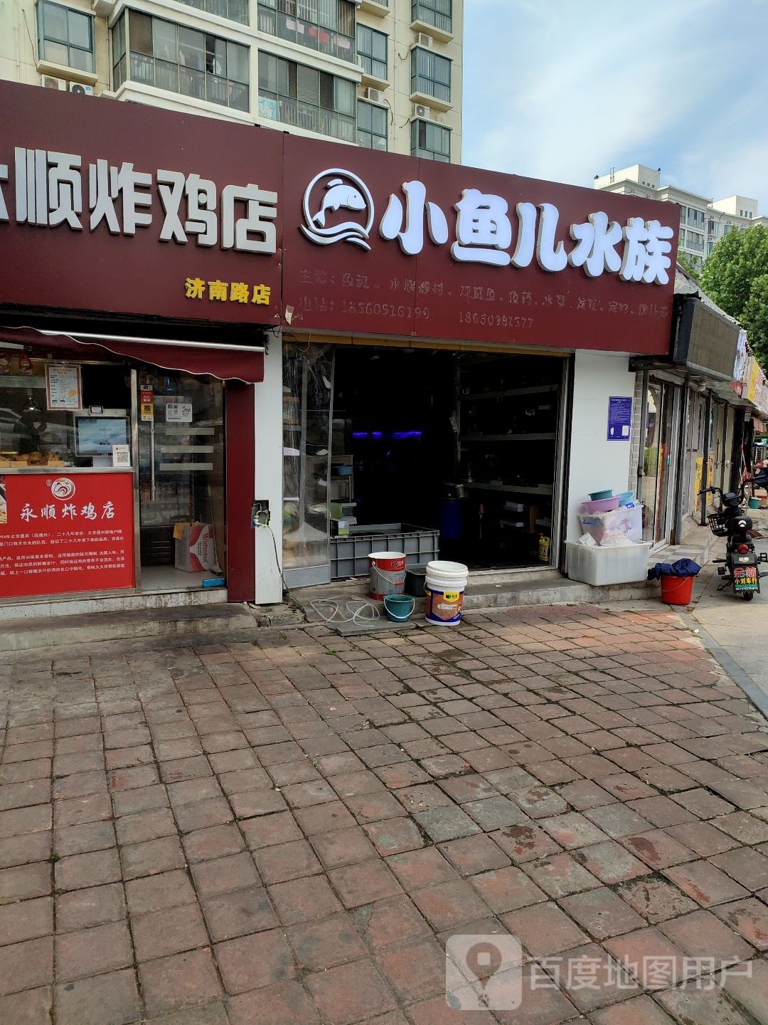 小鱼儿水族(济南路店)