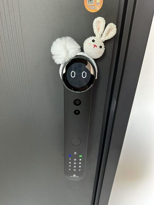 德施曼智能锁(福州居然之家旗舰店)
