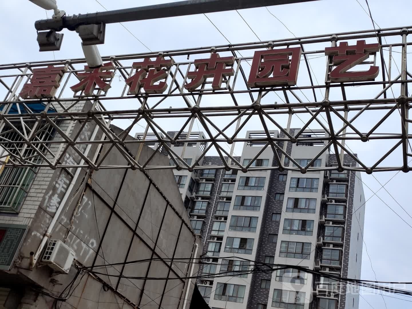 嘉禾花卉园艺