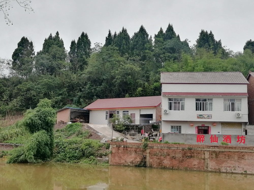 醉仙酒坊(东兴区店)