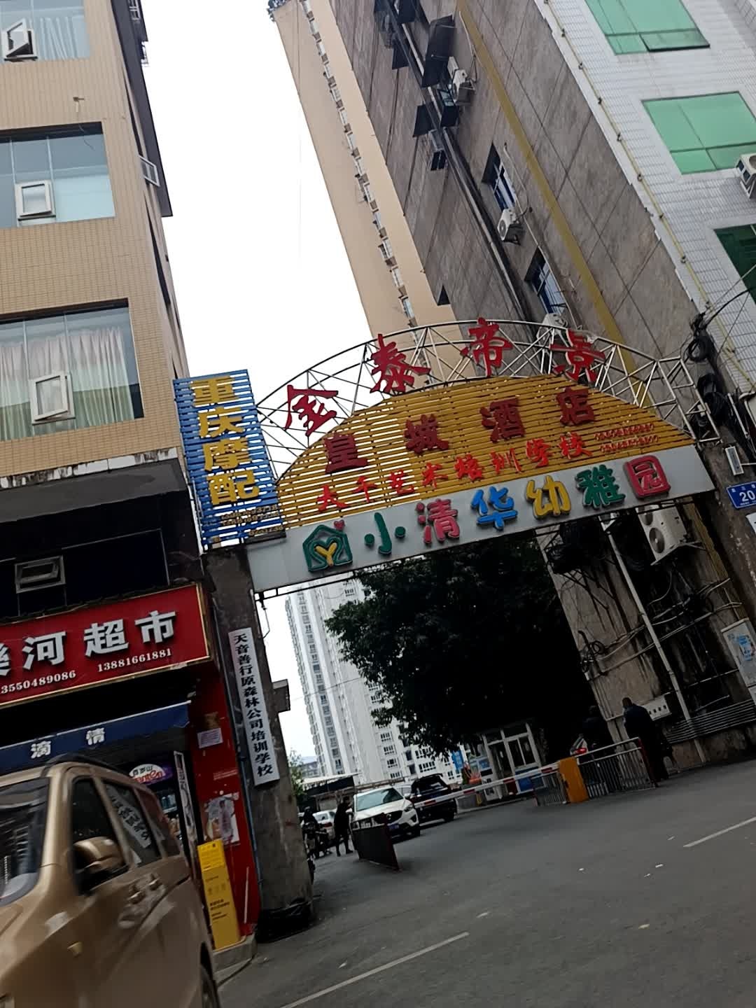 天音善行原森林公司培训学校
