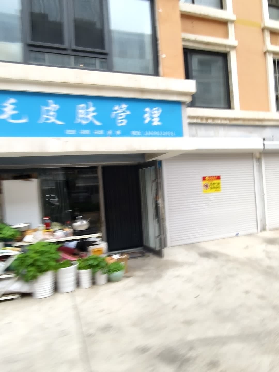 毛毛皮肤管理