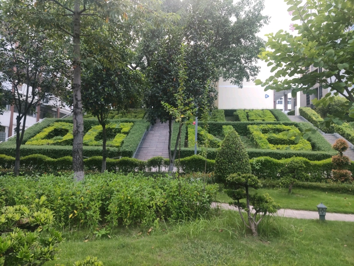 广东科技学院(南城校区)-植物园