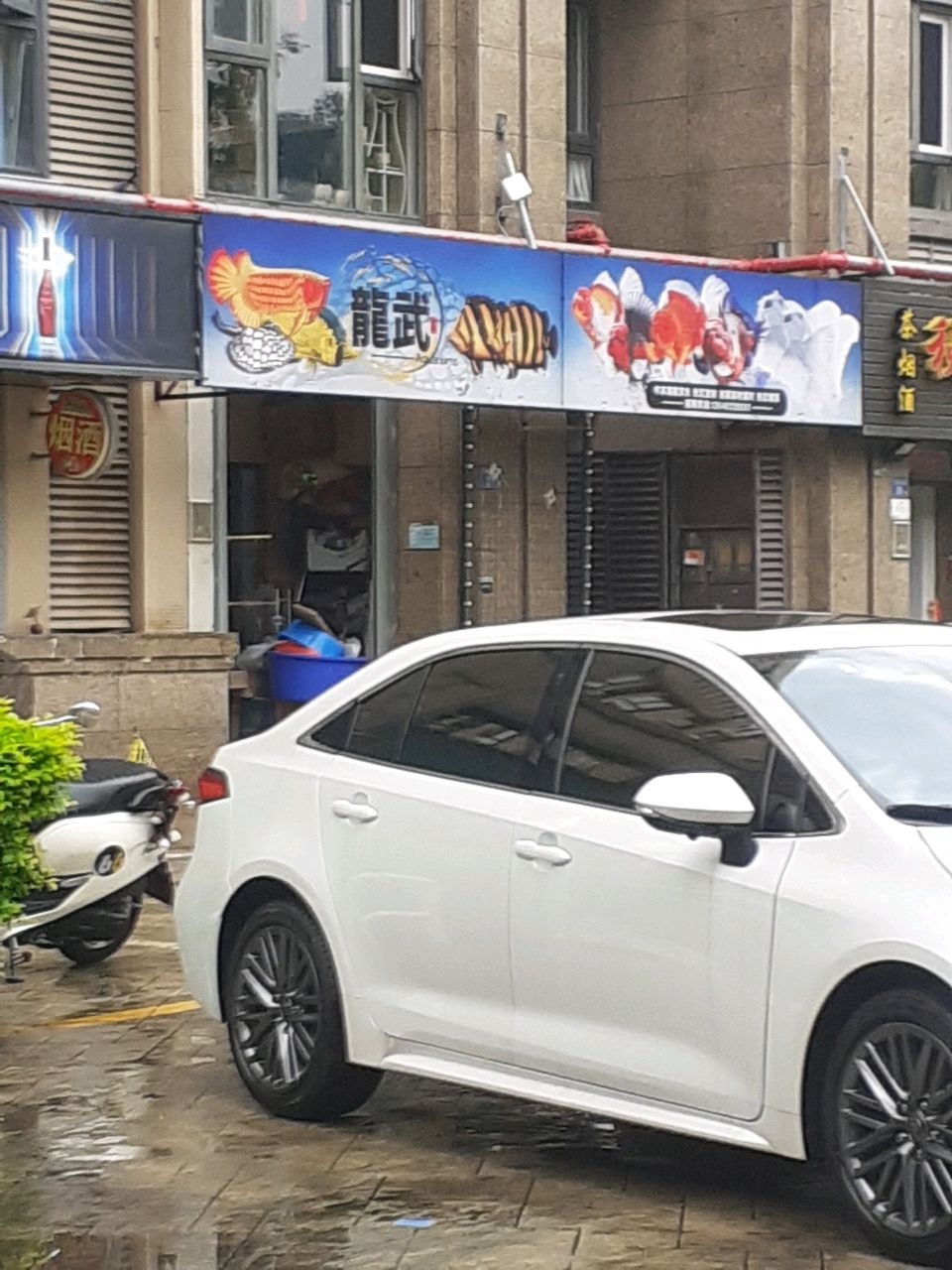 龙武水族(禹洲中央海岸2期店)