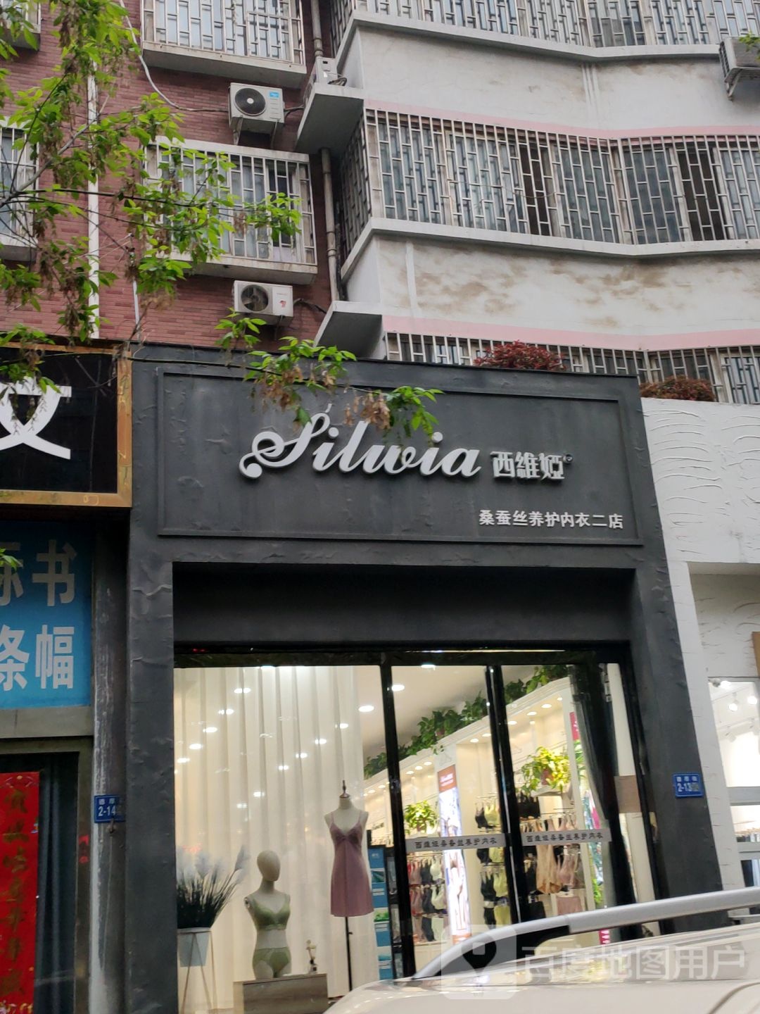 巩义市西维娅(桑蚕丝养护内衣二店)