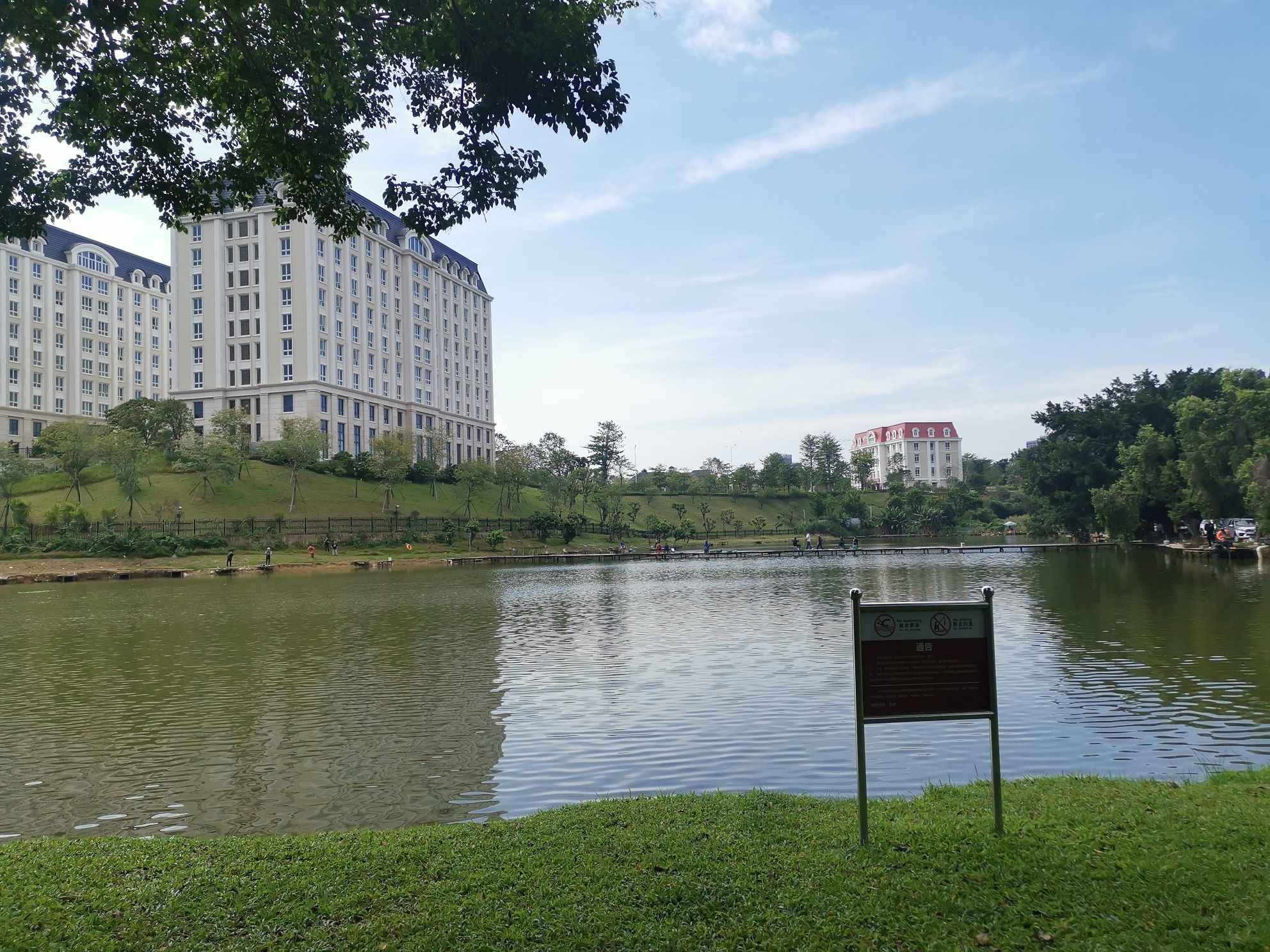 松山湖大学路钓鱼场