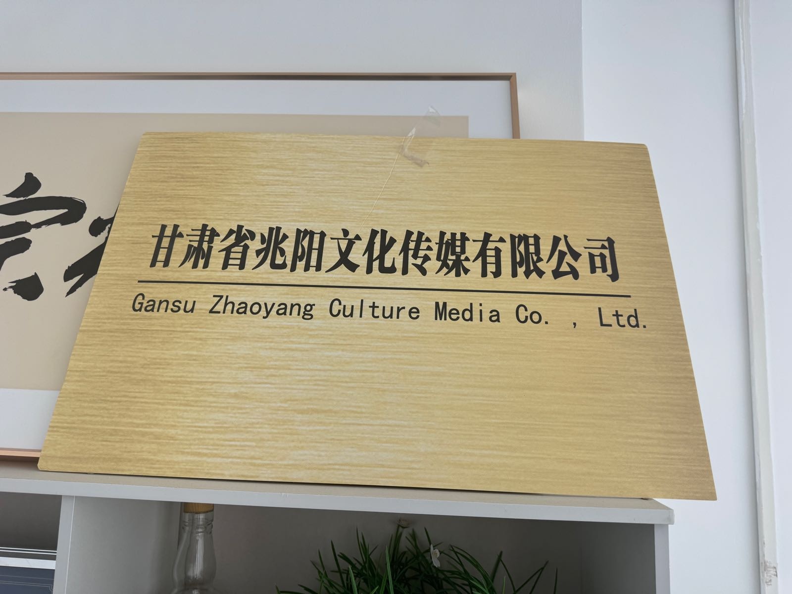 甘肃省兆阳文化传媒有限公司