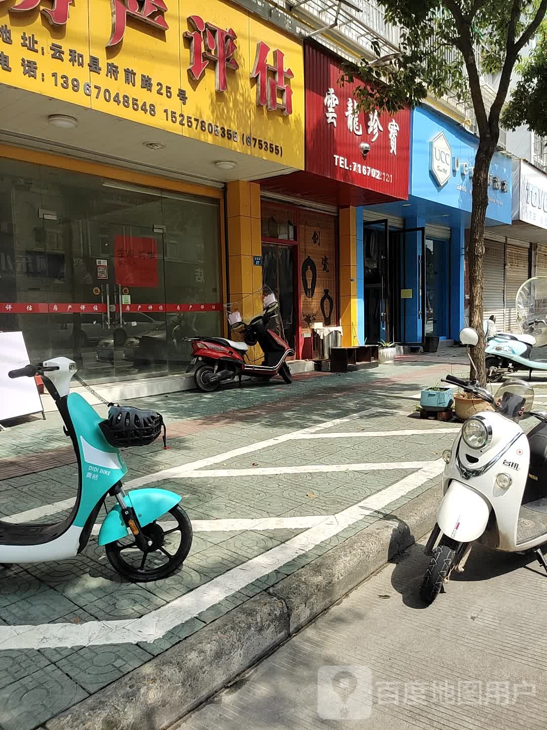 云龙珍宝