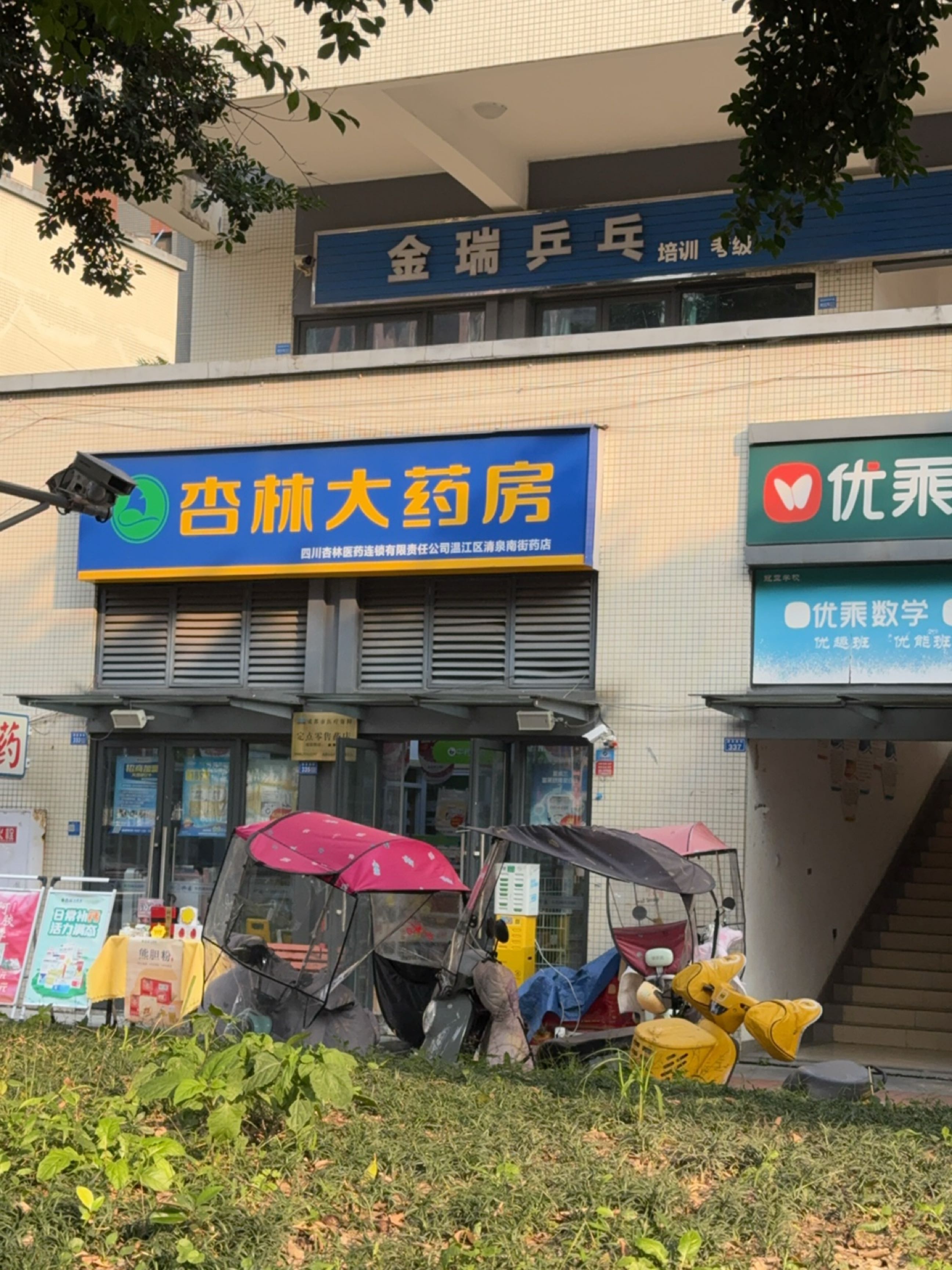 金瑞乒乓