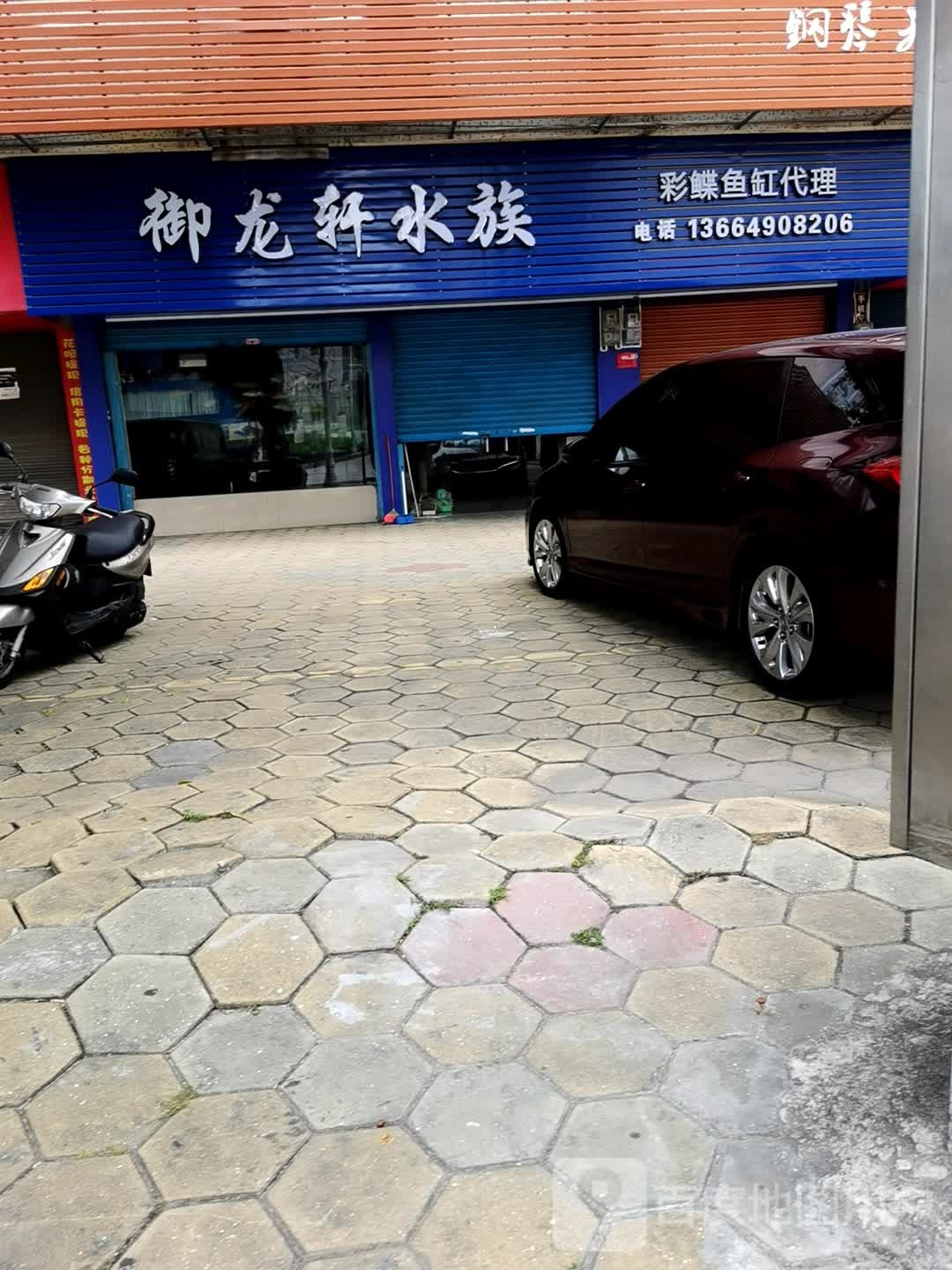 御龙轩水族