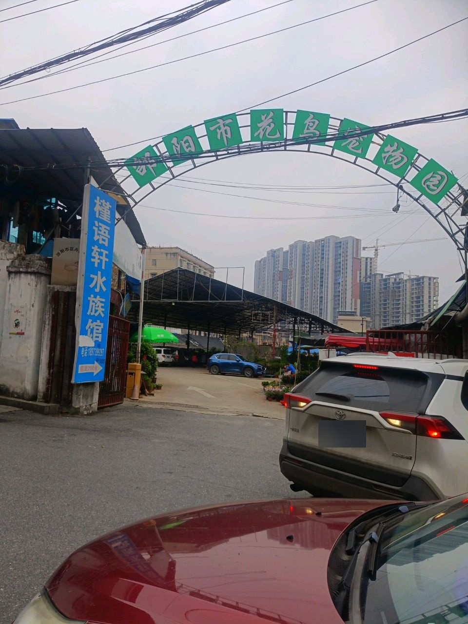 邵阳市花鸟宠物园
