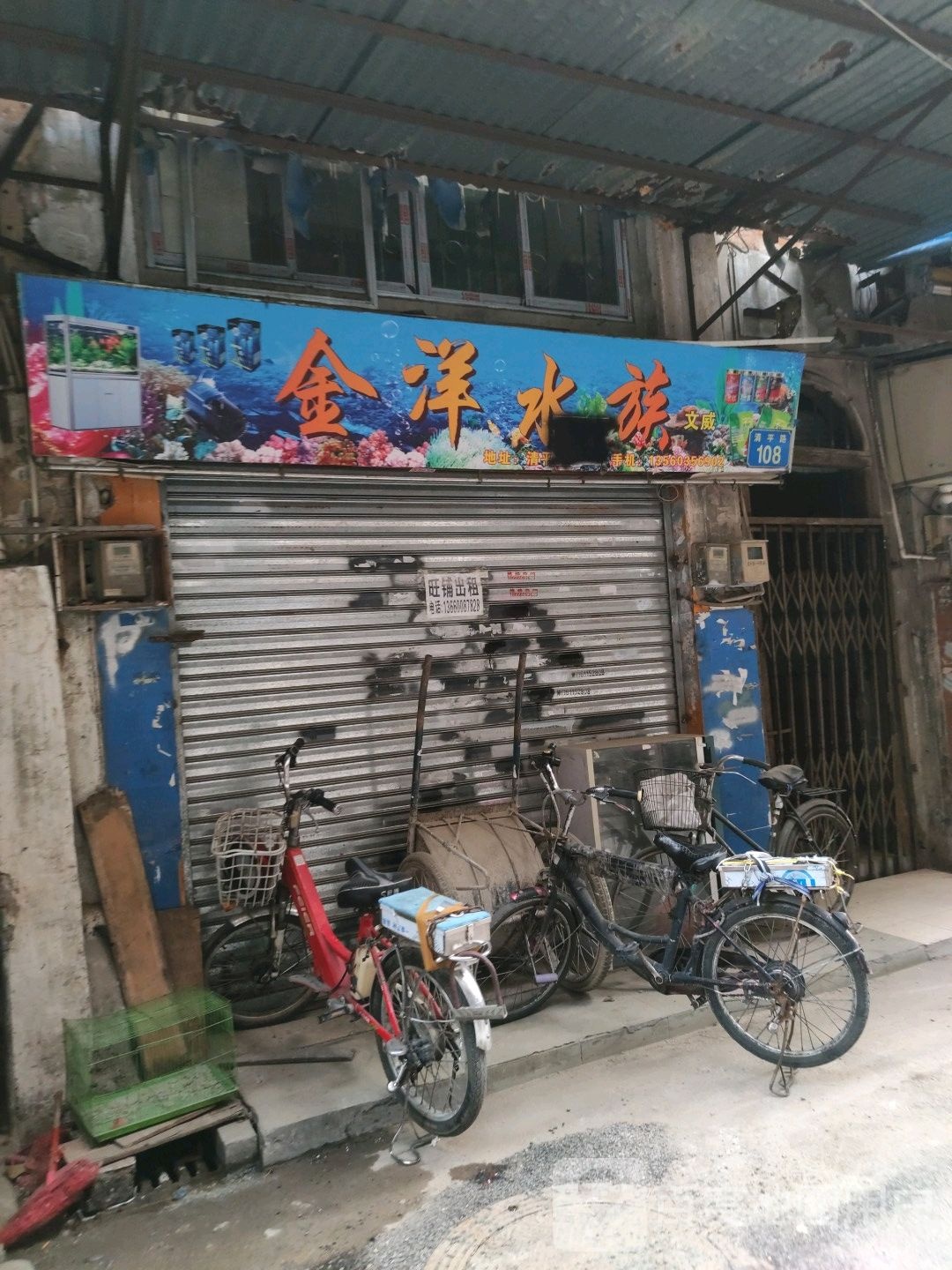 金阳水族