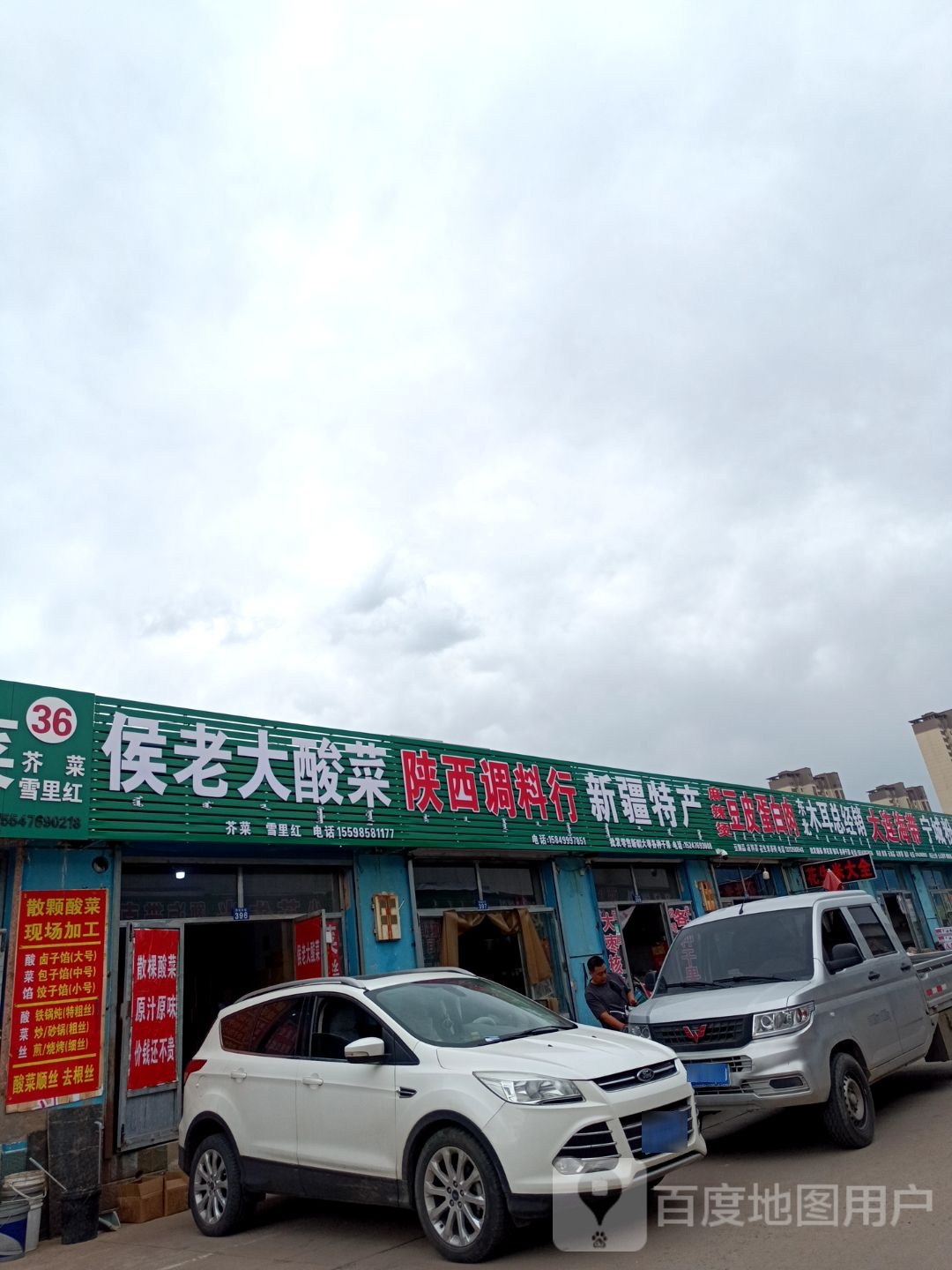大连海带