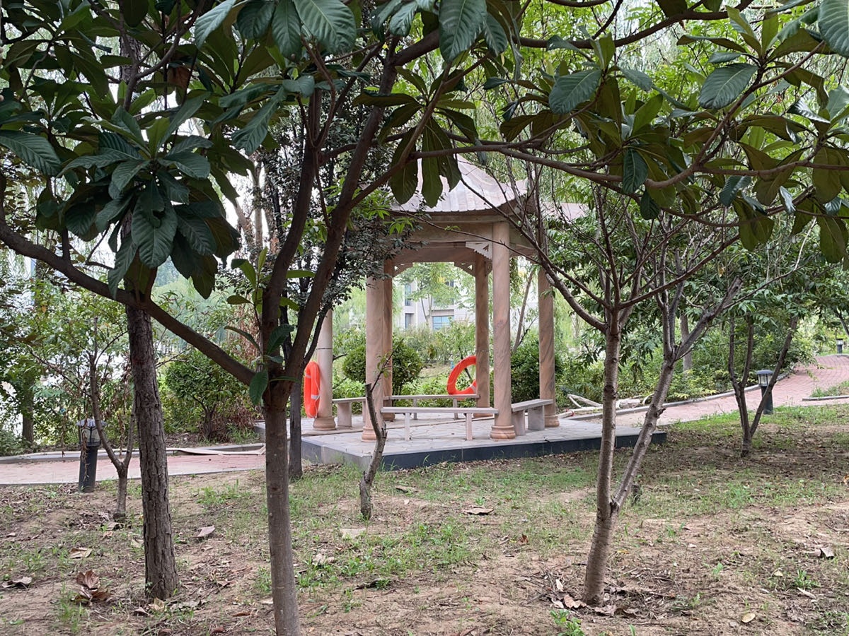 河南开封科技传媒学院-喷泉绿植区