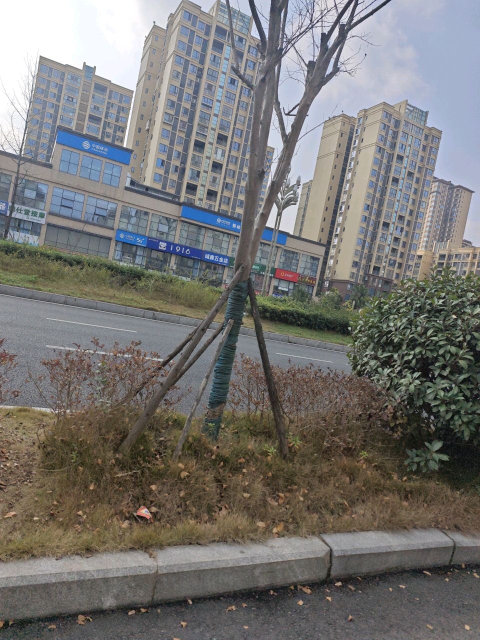 瑞仕堂·按摩SPA·采耳足浴·拔罐足疗(钢铁金丰苑店)