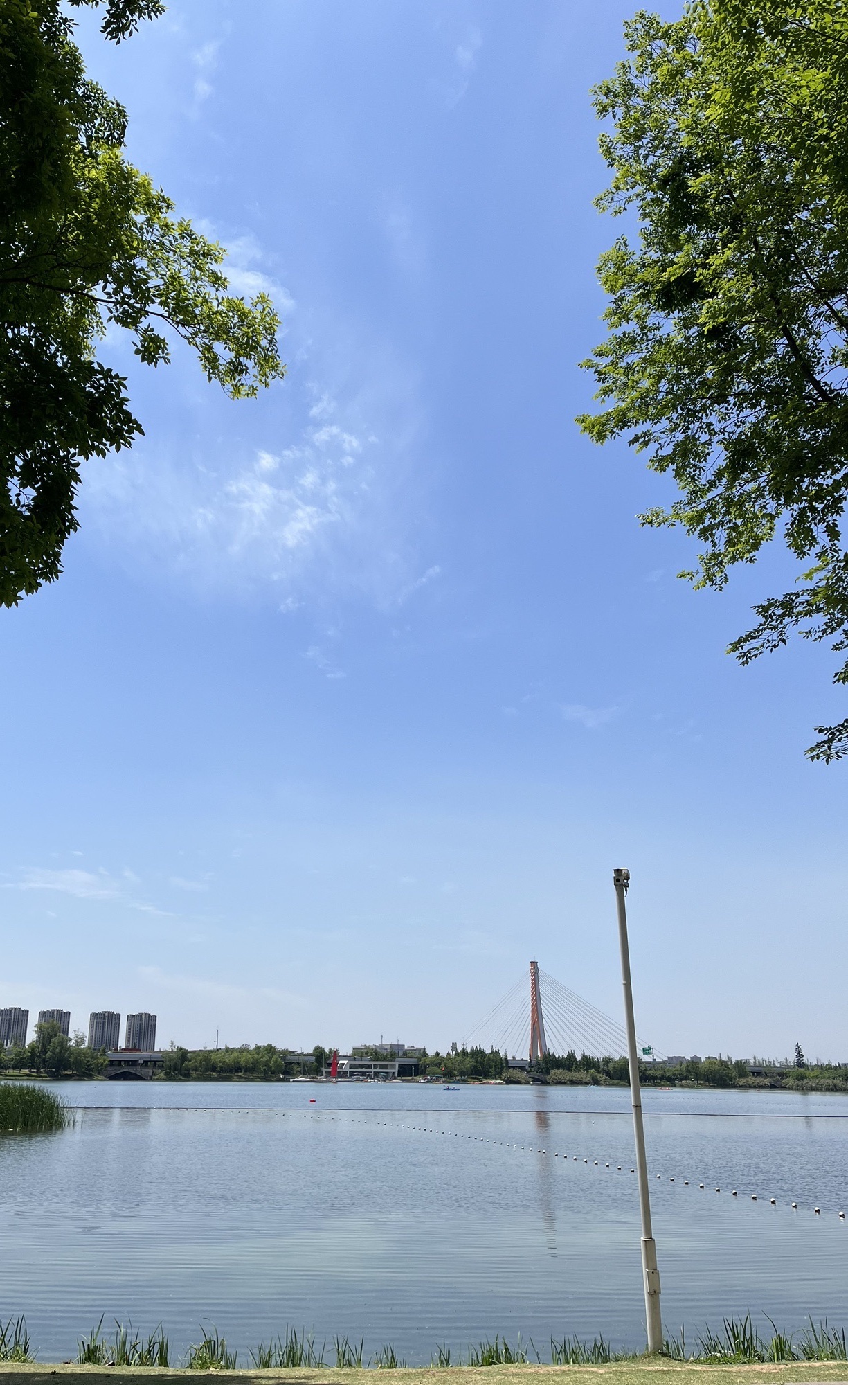 锦城湖-2号湖区