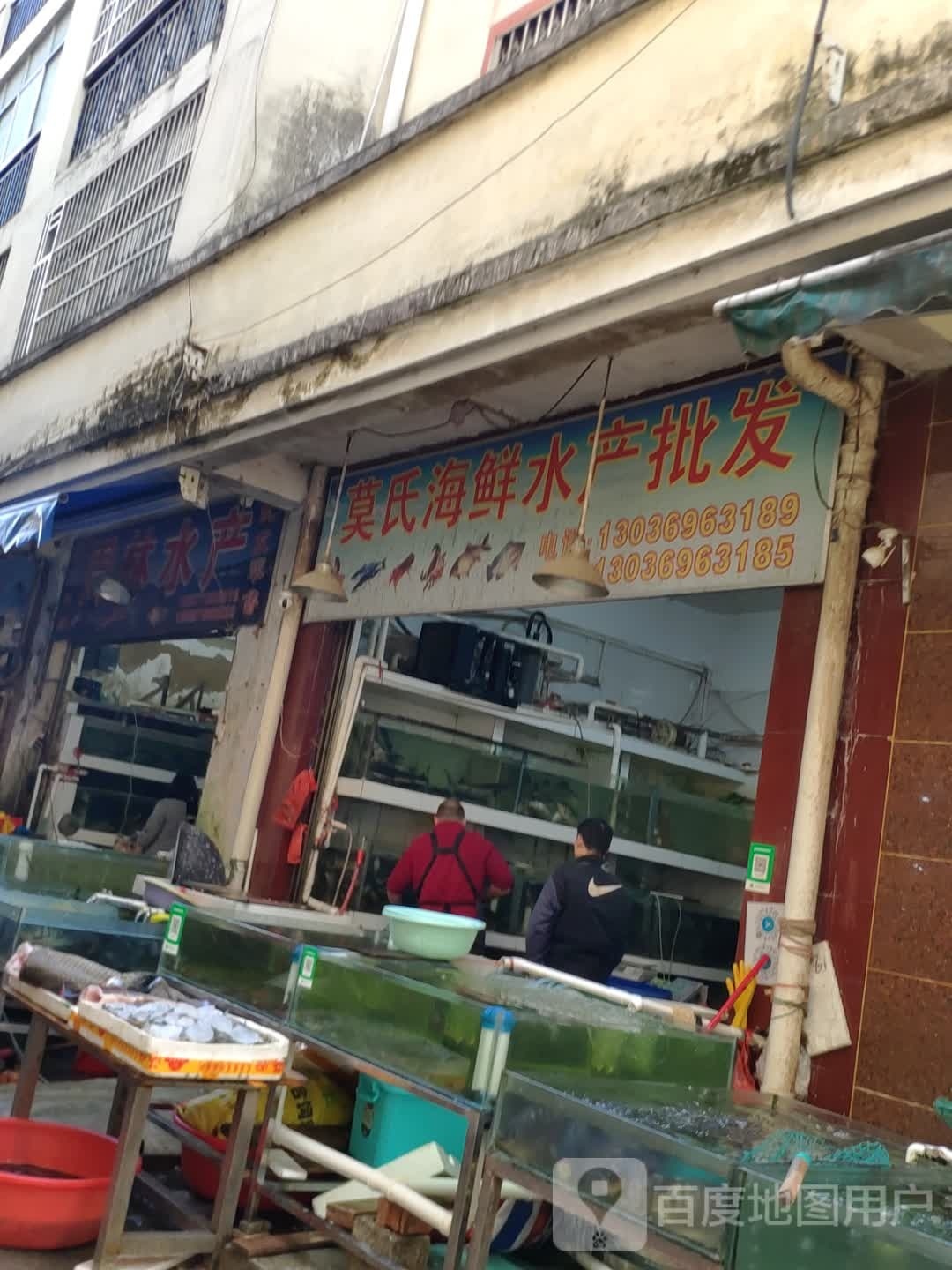 莫氏海先水产批发