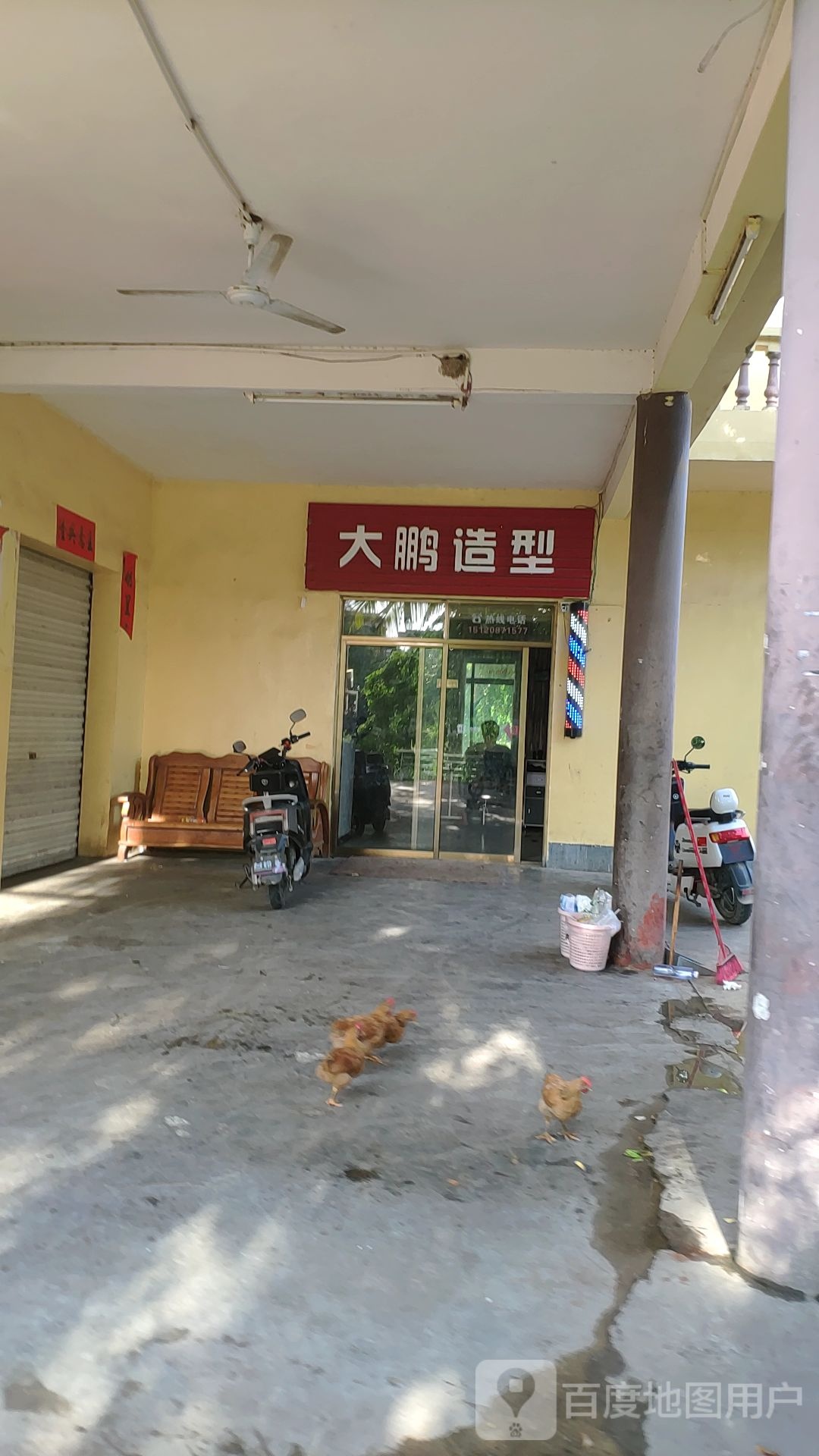 大鹏造型