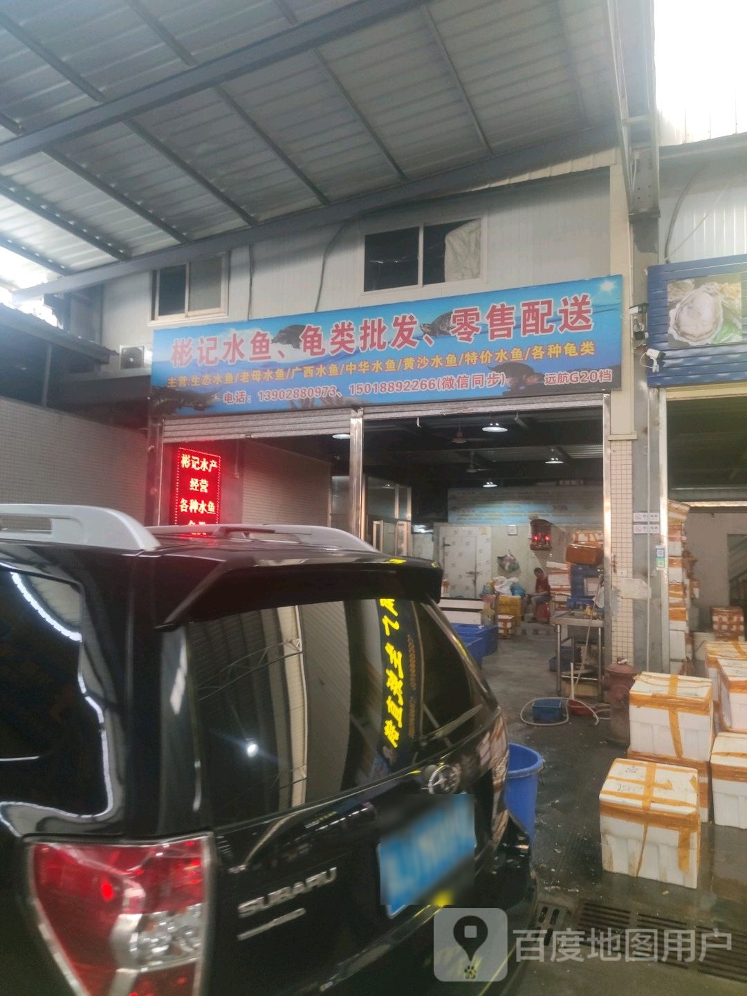 彬记水鱼龟类批发零售配送