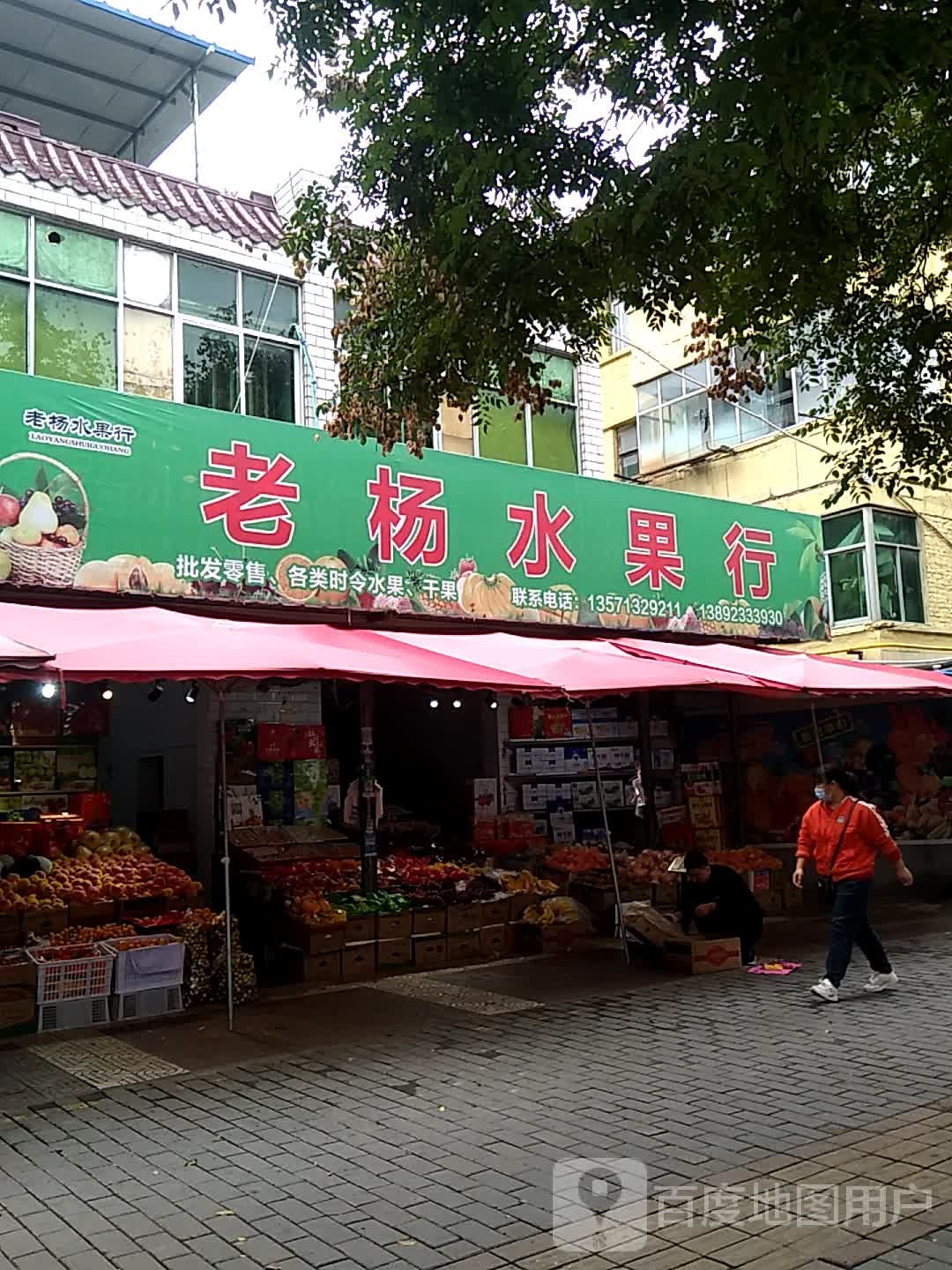 老杨水果行