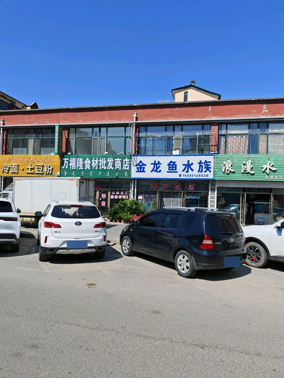 金龙鱼水族