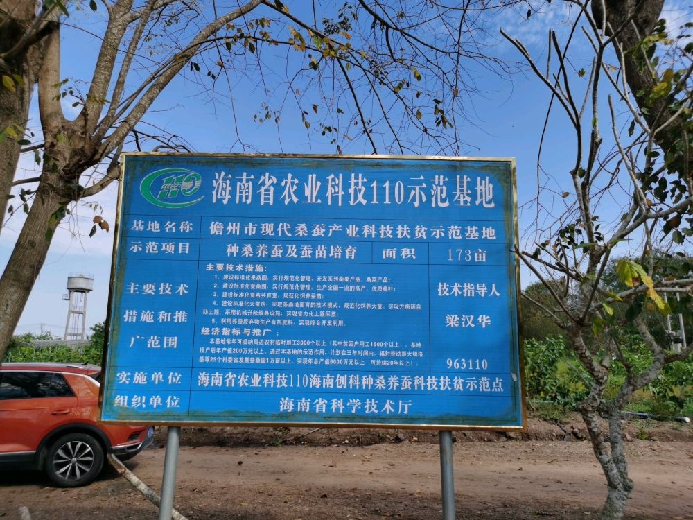 种桑养蚕基地南桑记摘桑椹