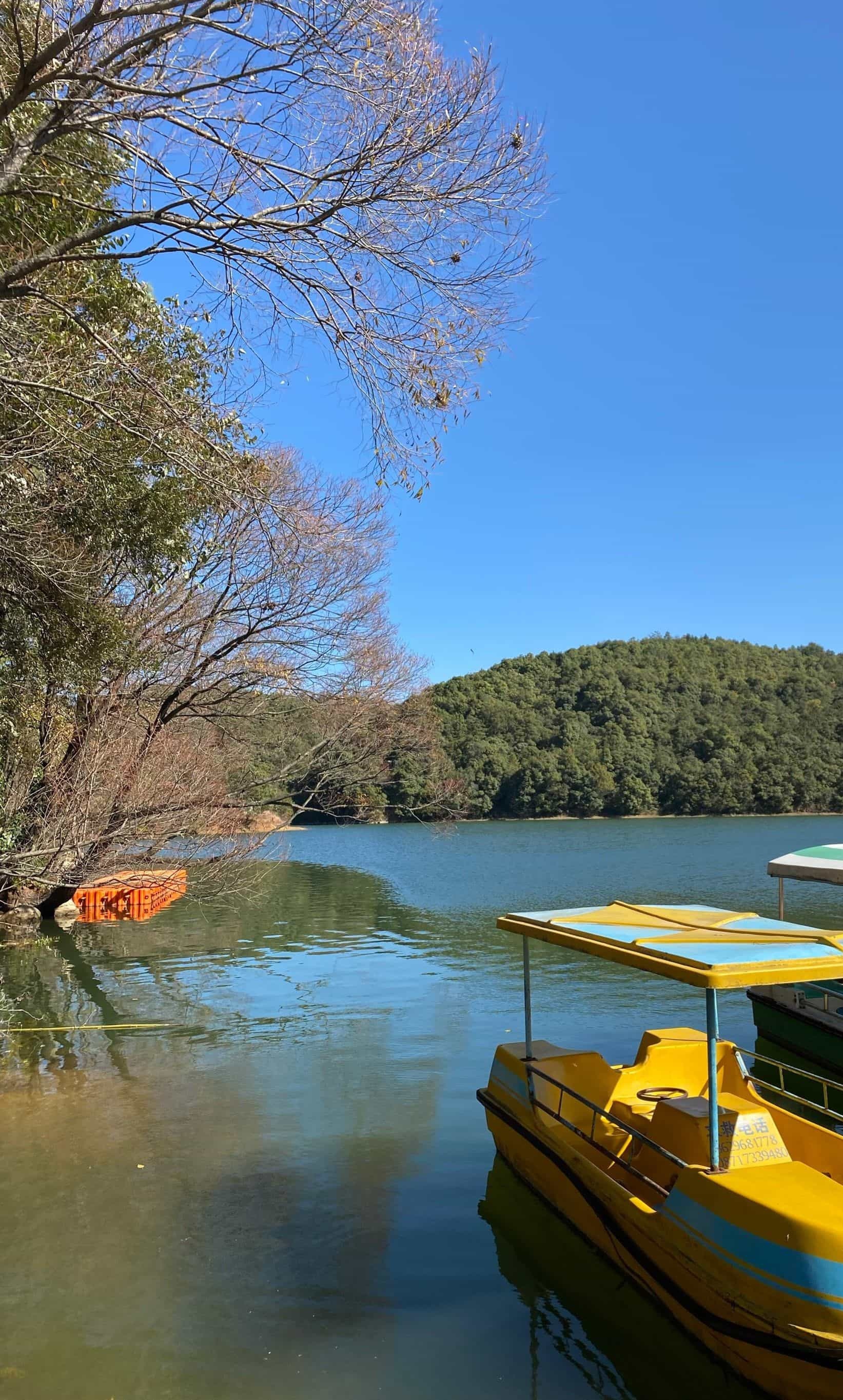 野鸭湖一期