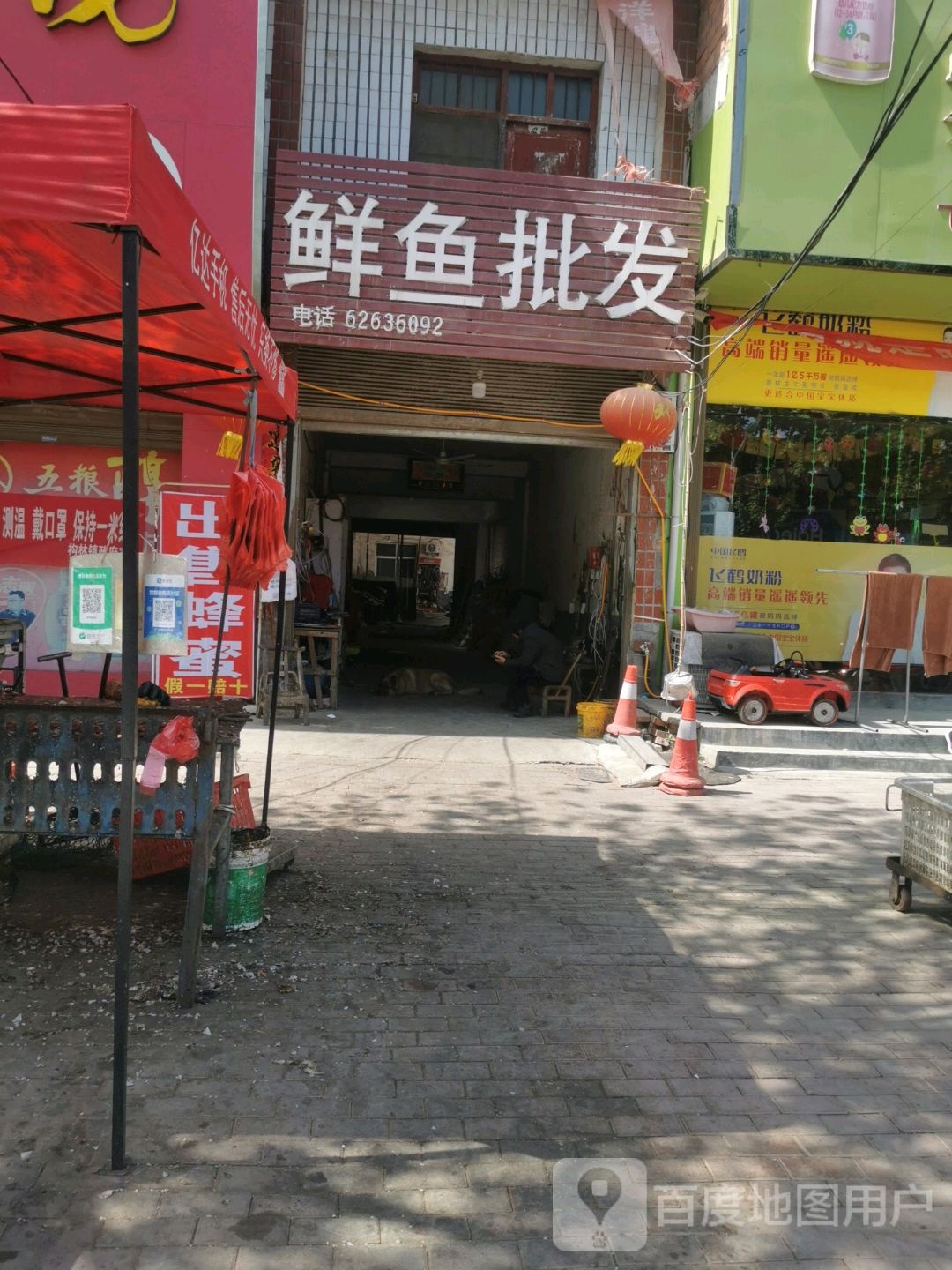 邓州市构林镇鲜鱼批发