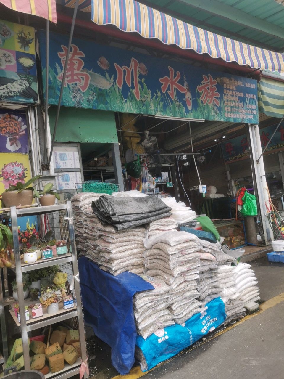 万川水族(清河综合市场V区店)